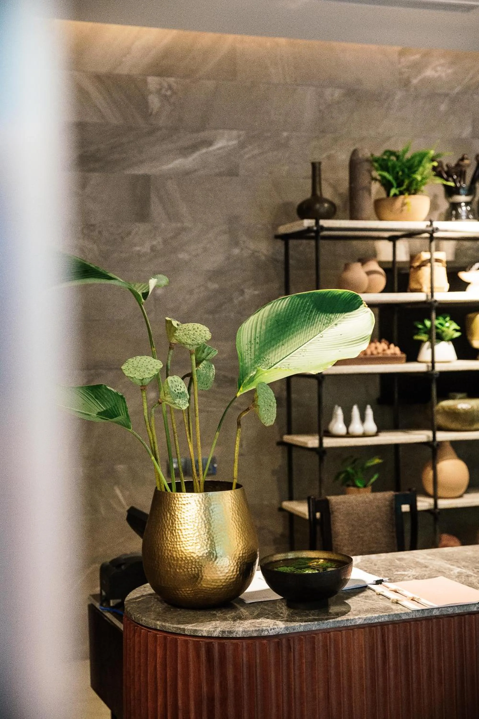 Spa and wellness centre/facilities in Treeline Urban Resort