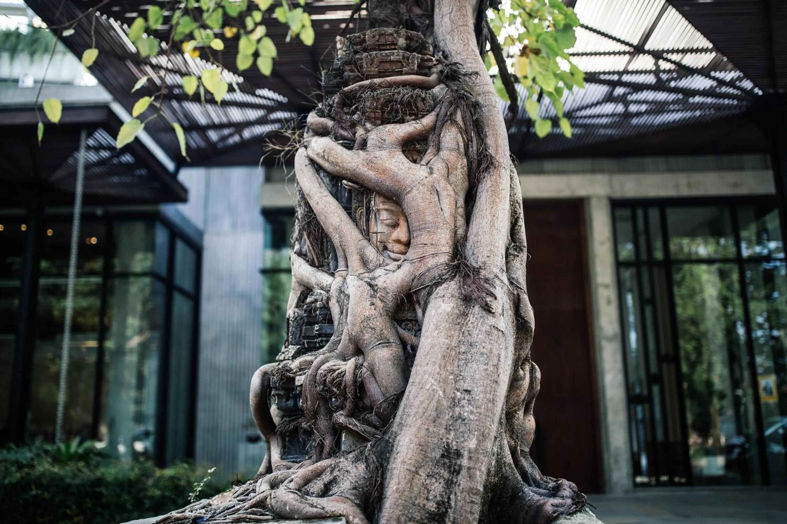 Property building in Treeline Urban Resort