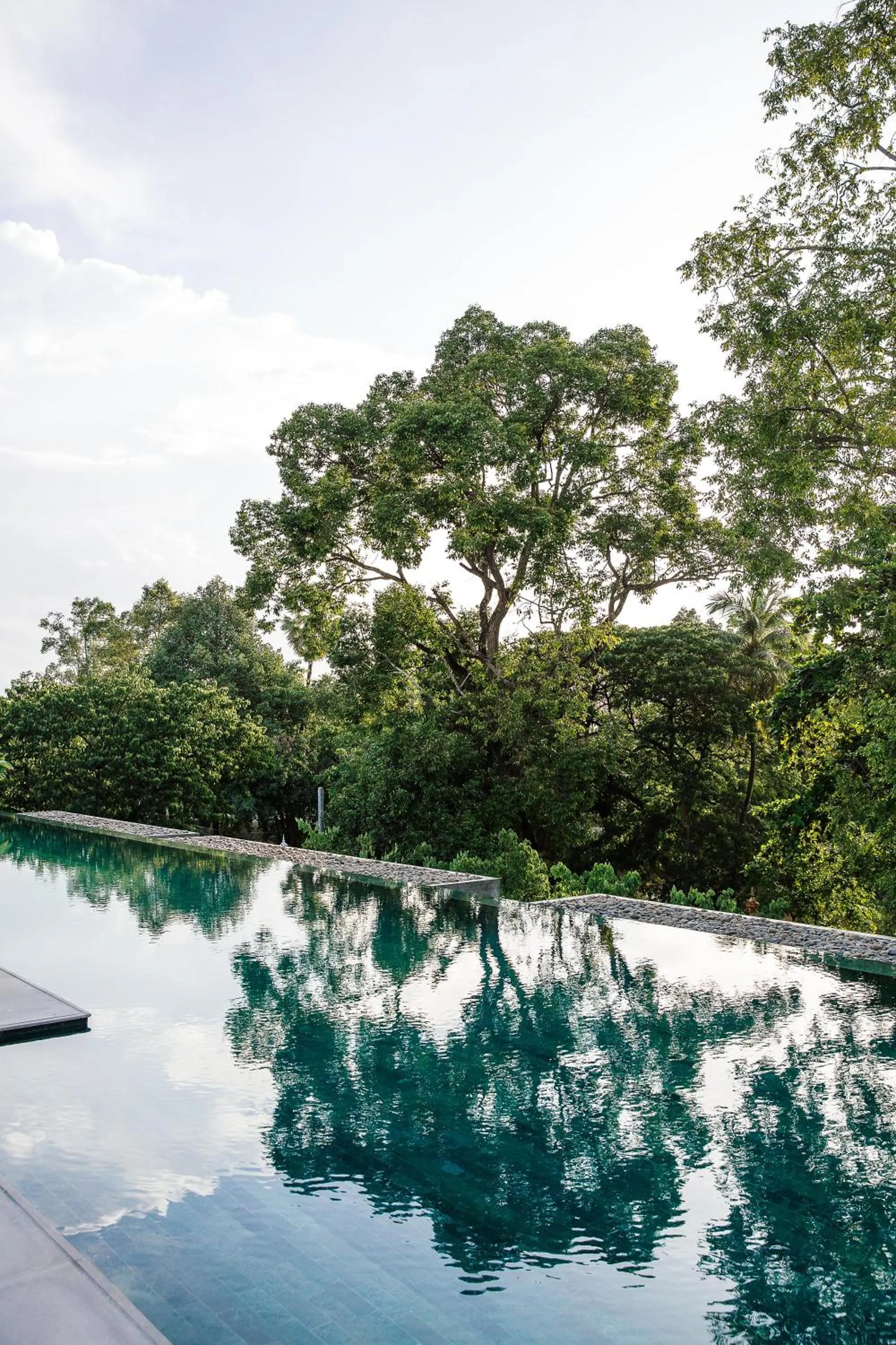 Swimming pool in Treeline Urban Resort