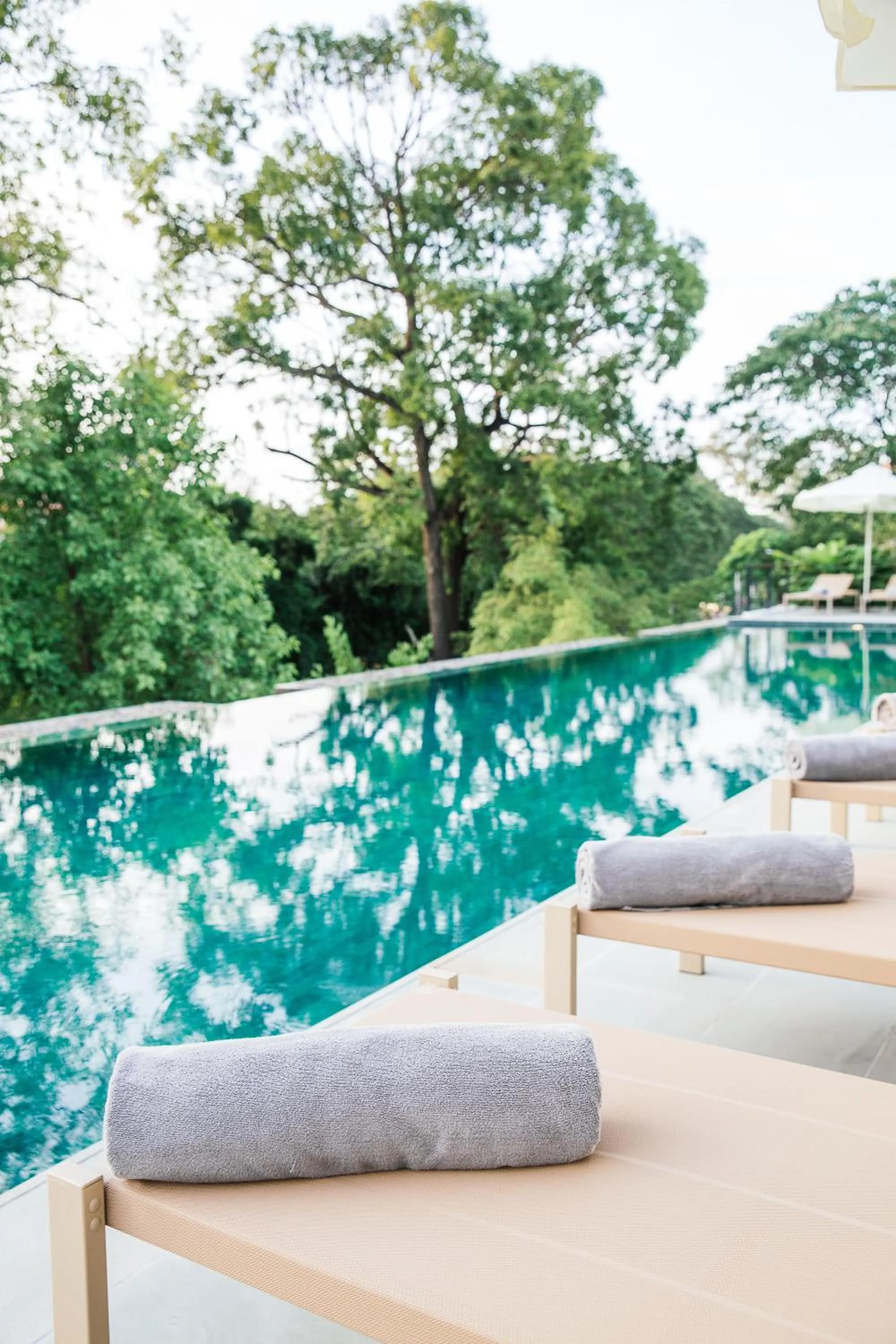 Swimming pool in Treeline Urban Resort