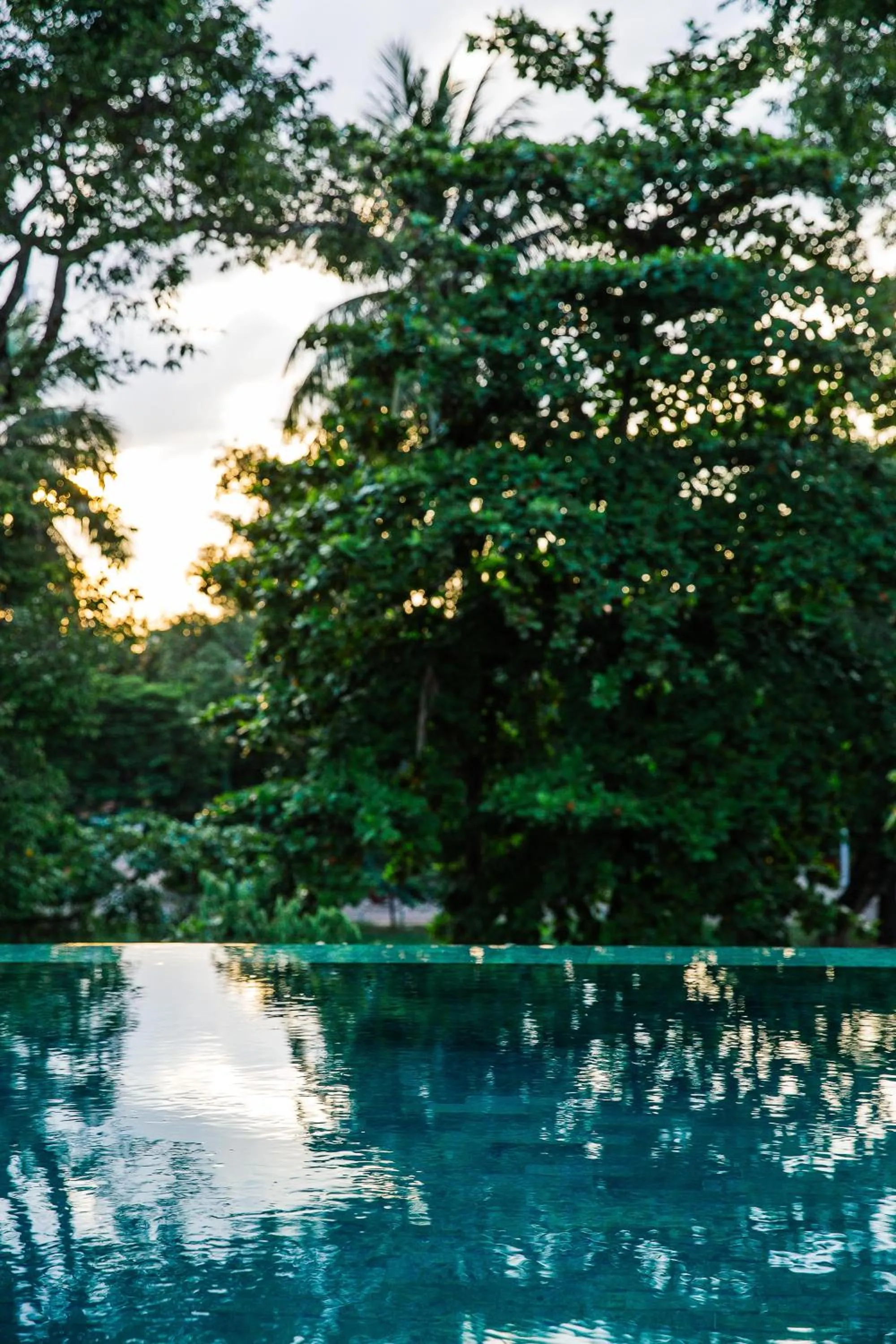 Swimming pool in Treeline Urban Resort
