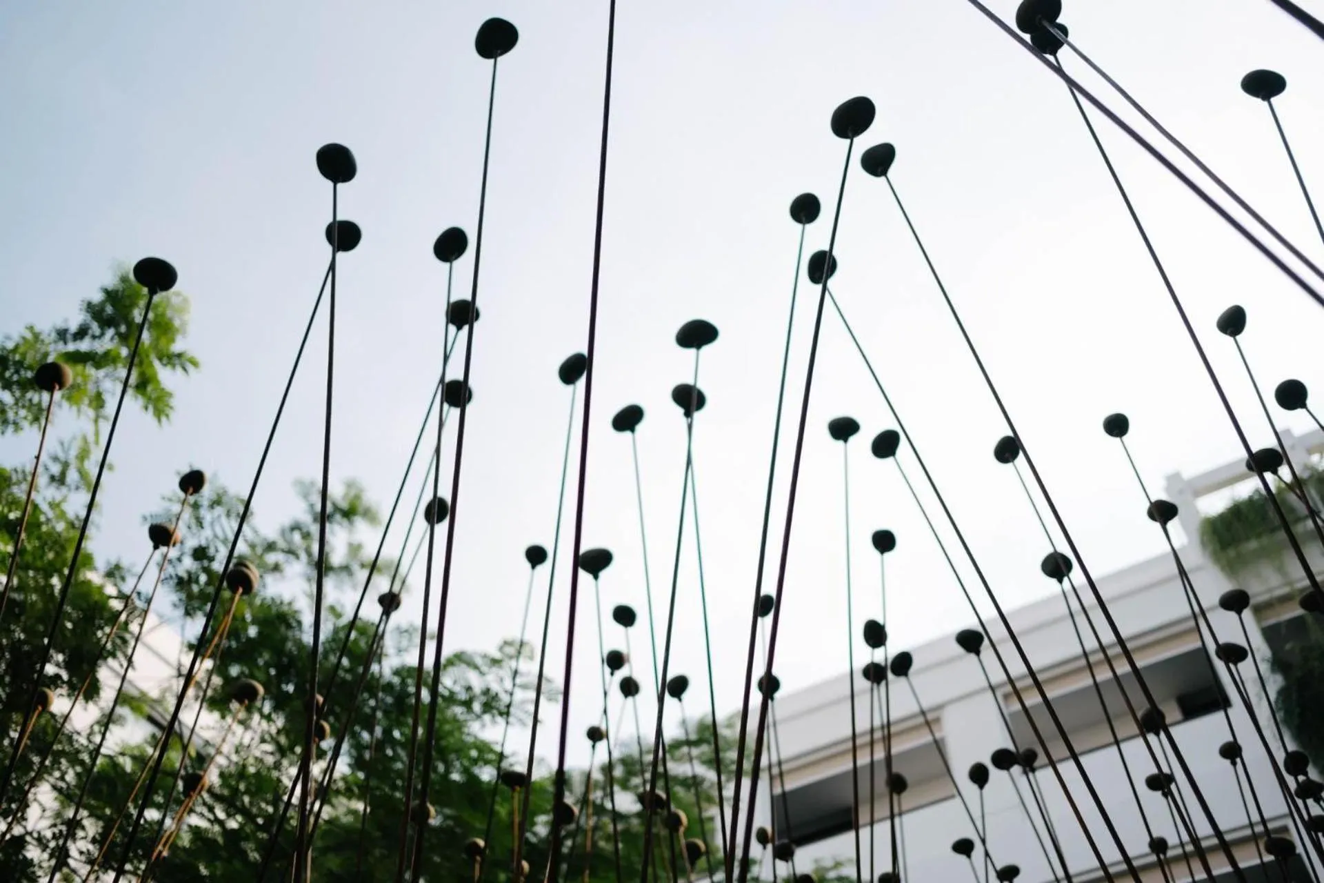 Decorative detail in Treeline Urban Resort