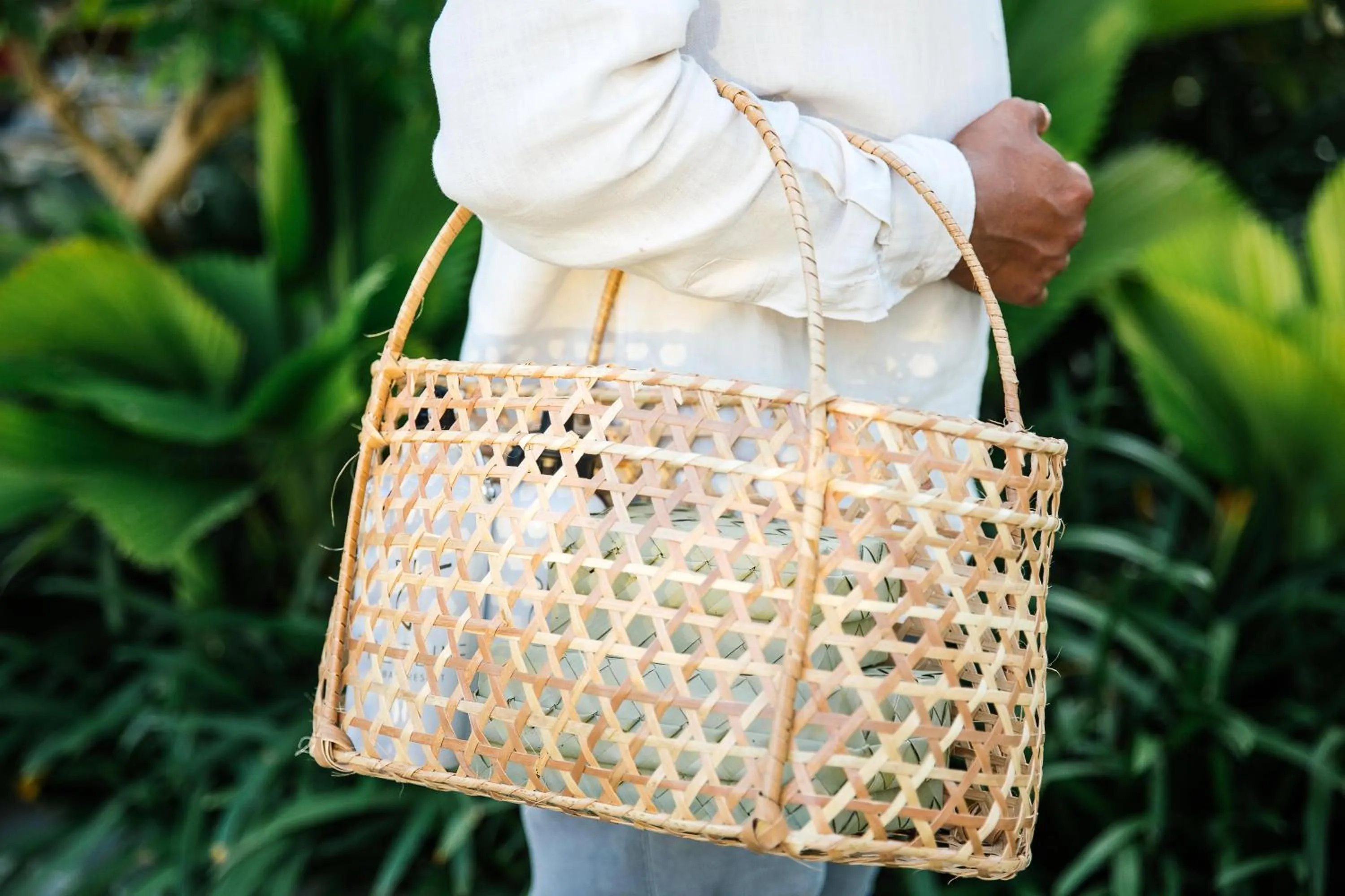 Landmark view in Treeline Urban Resort