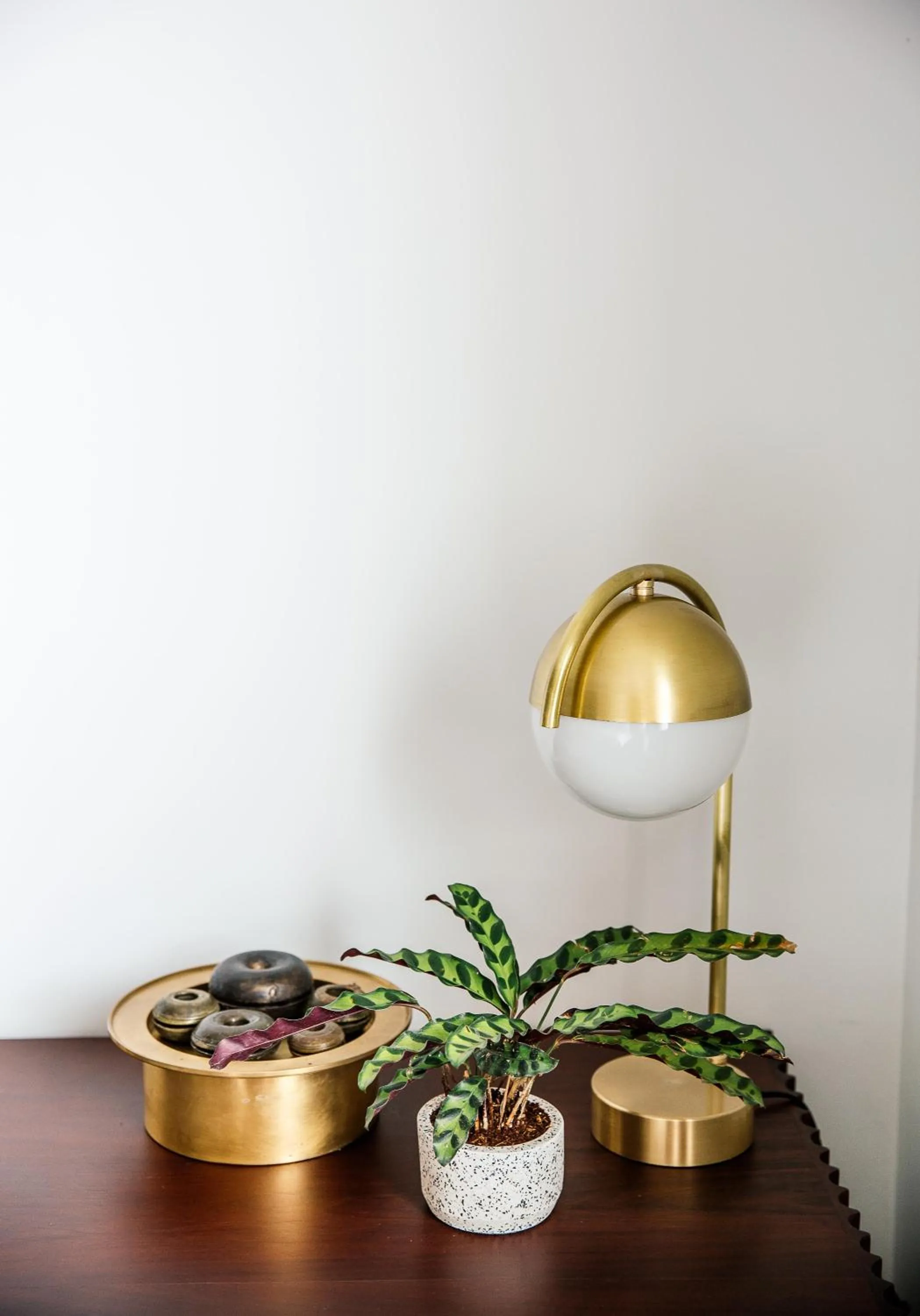 Other in Treeline Urban Resort