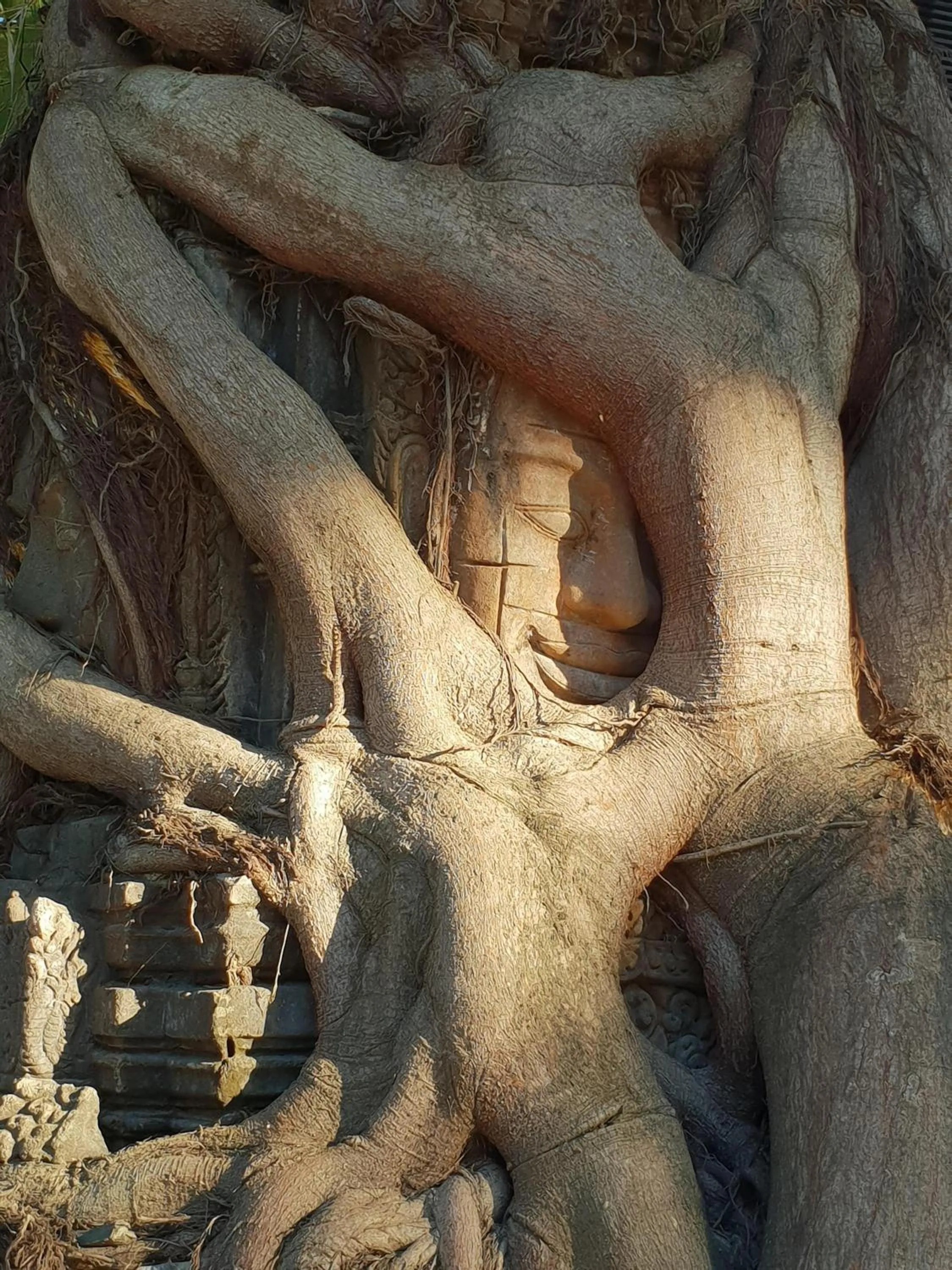 Property building in Treeline Urban Resort