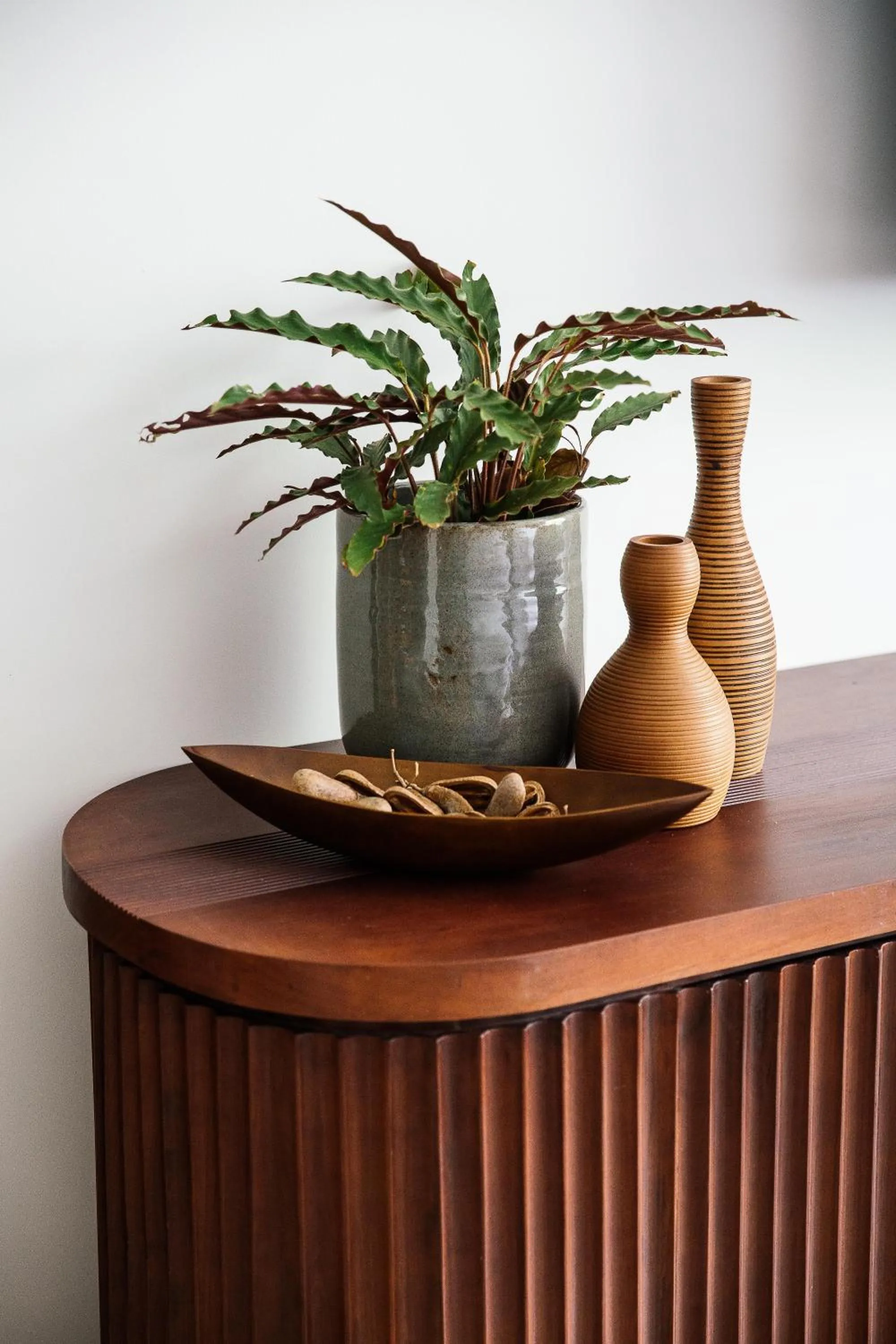 Other in Treeline Urban Resort