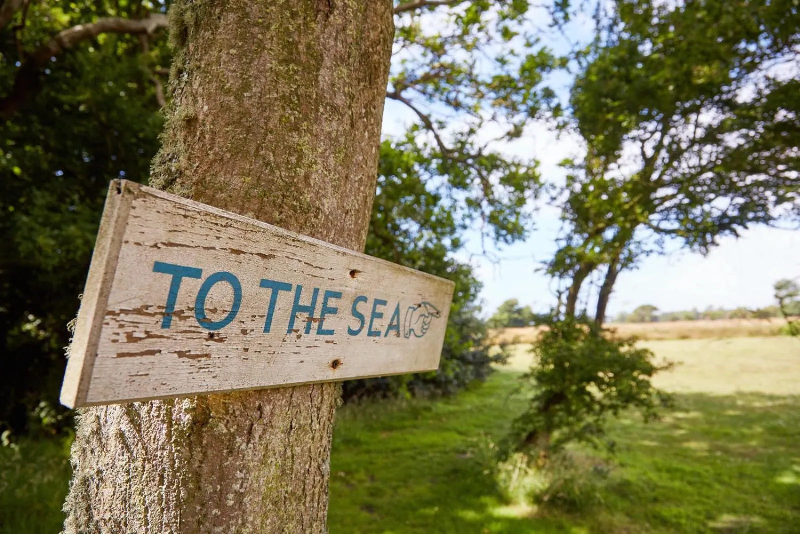 Garden in Bailiffscourt Hotel & Spa