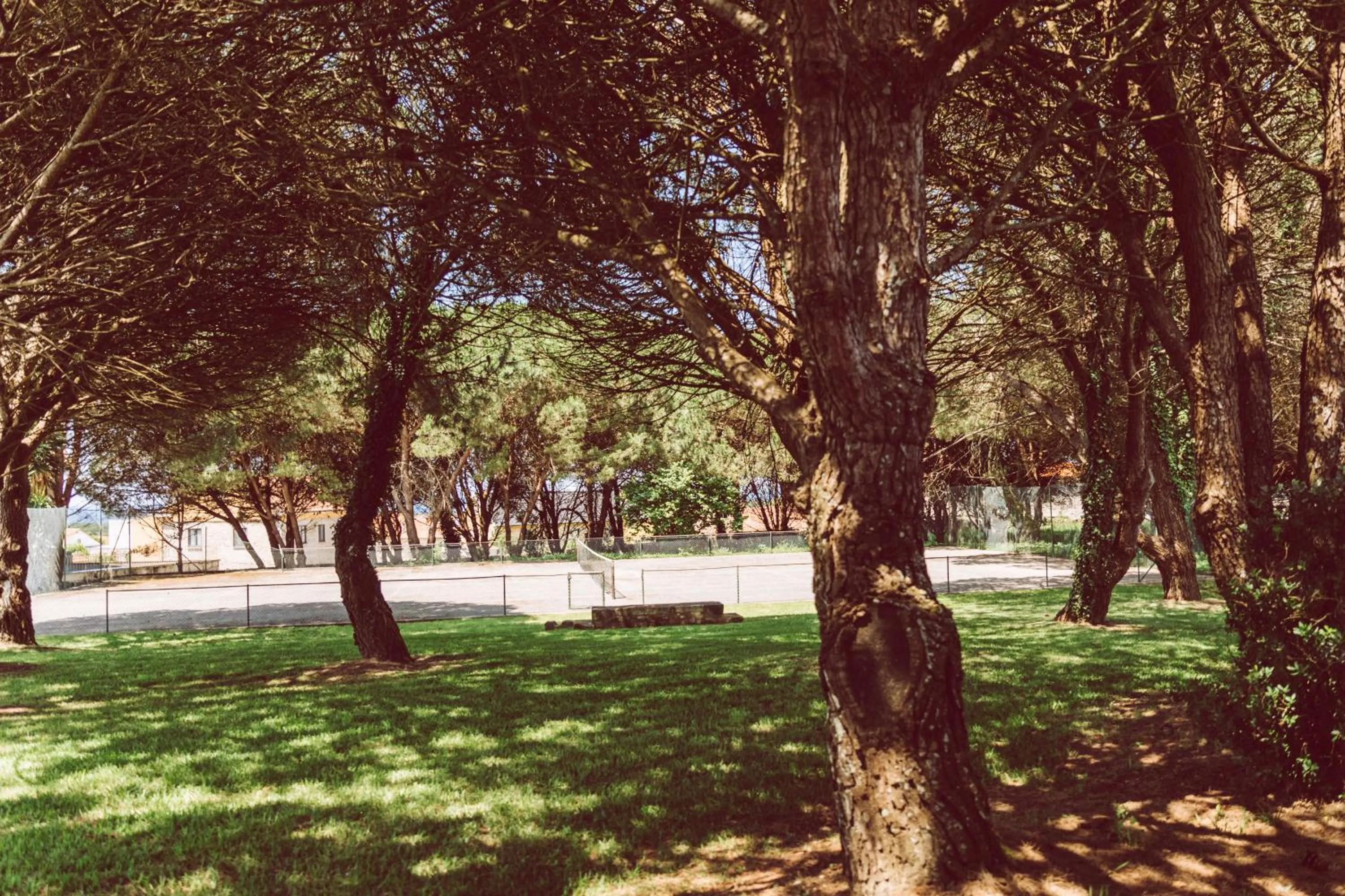 Tennis court in Quinta do Monteverde