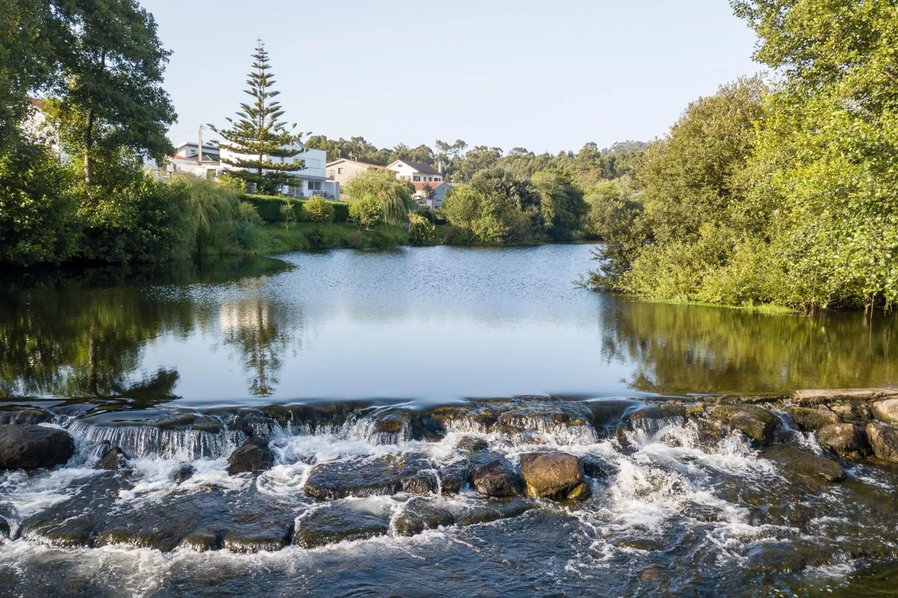 Natural landscape in Quinta do Monteverde