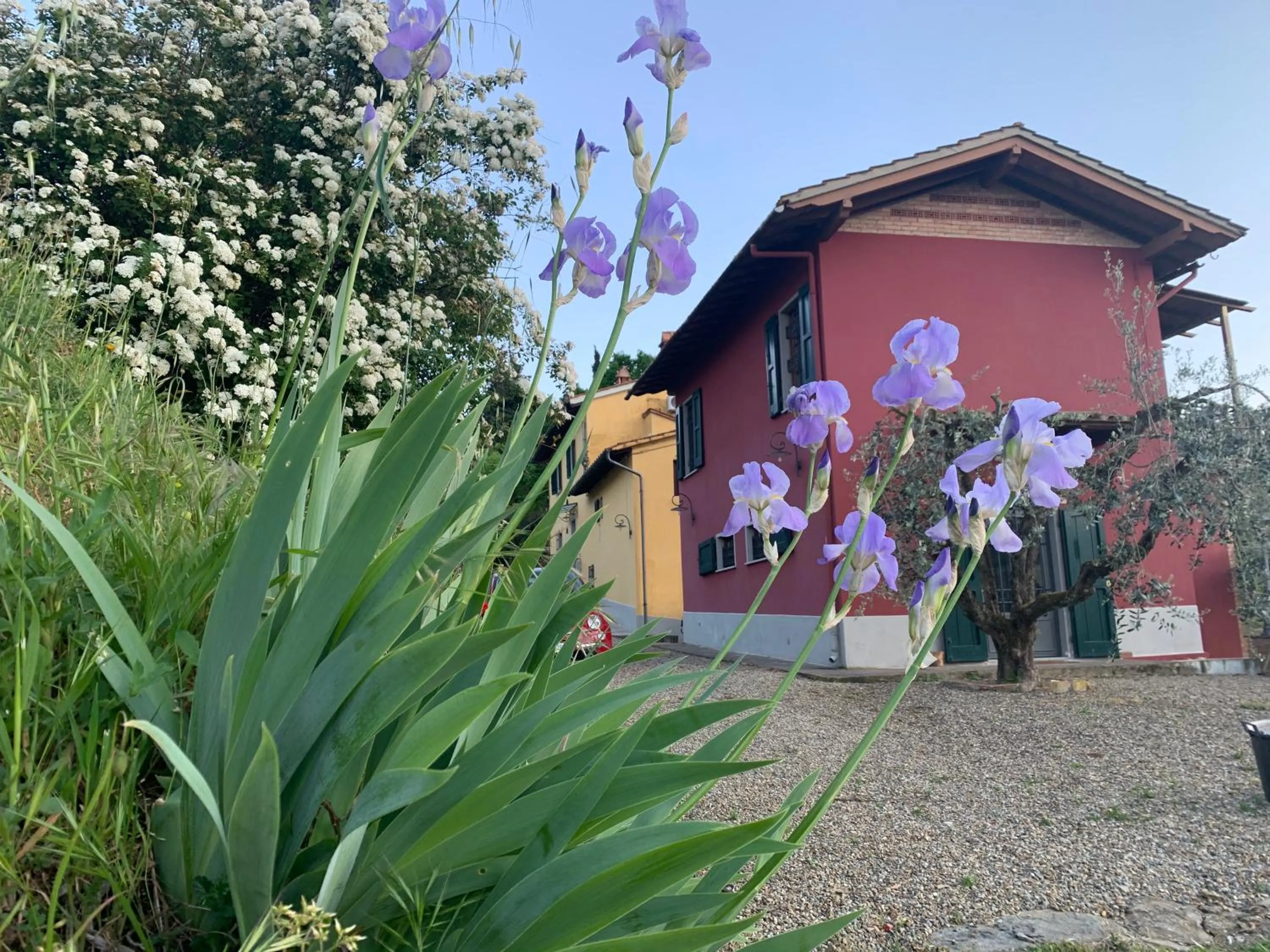 Barco Mediceo B&B In Toscana