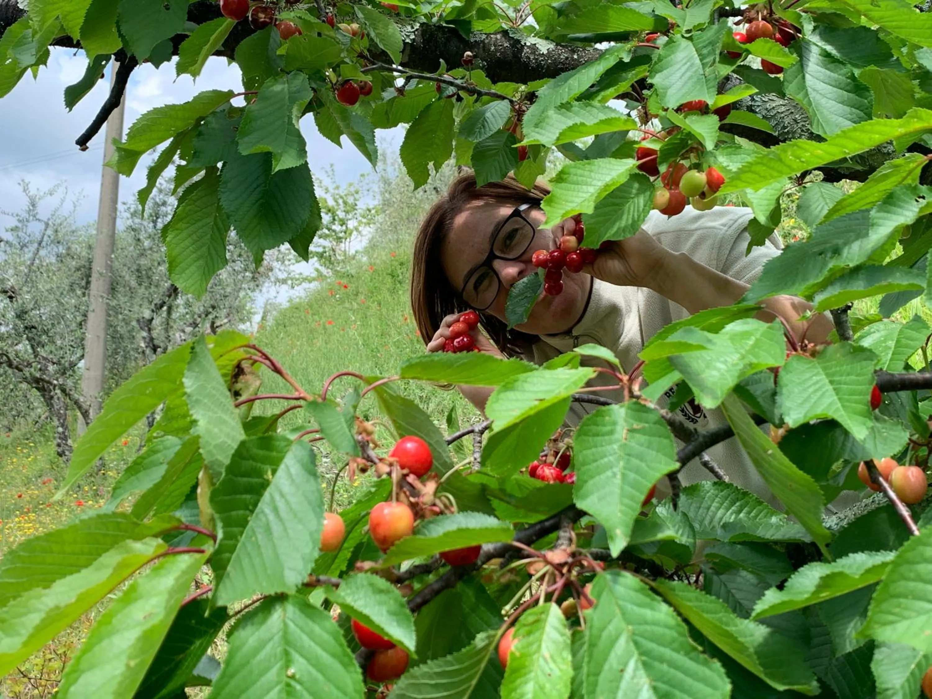 Barco Mediceo B&B In Toscana