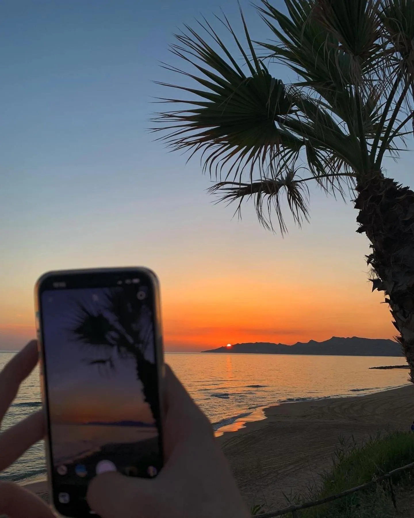 Carrubella Santa Zita