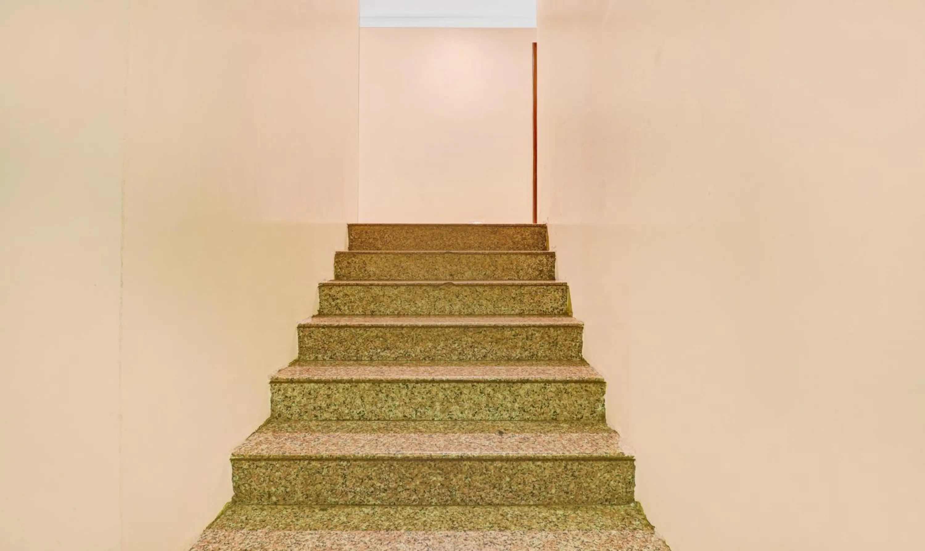 Lobby or reception in Treebo Surya Yatri Niwas