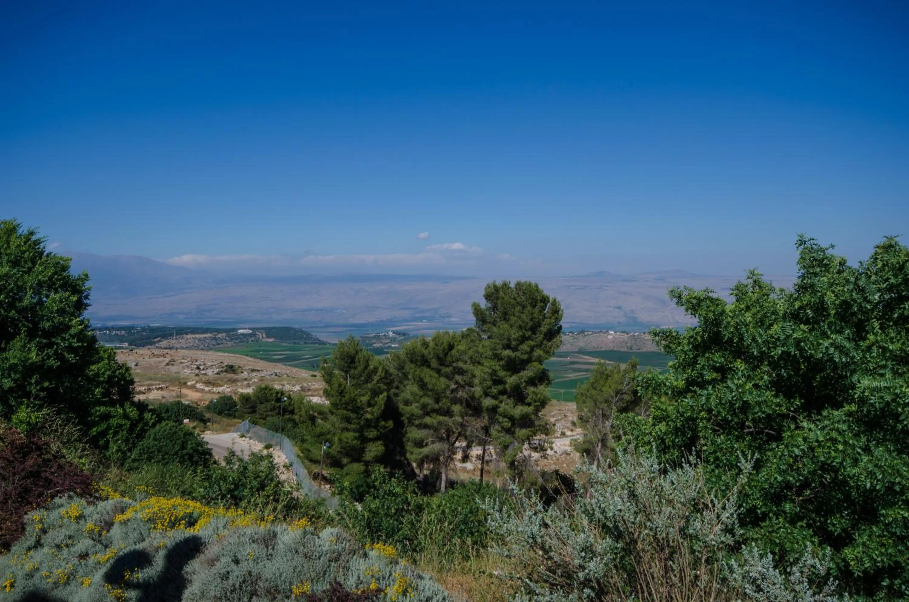 View (from property/room) in Kibbutz Malkiya Travel Hotel