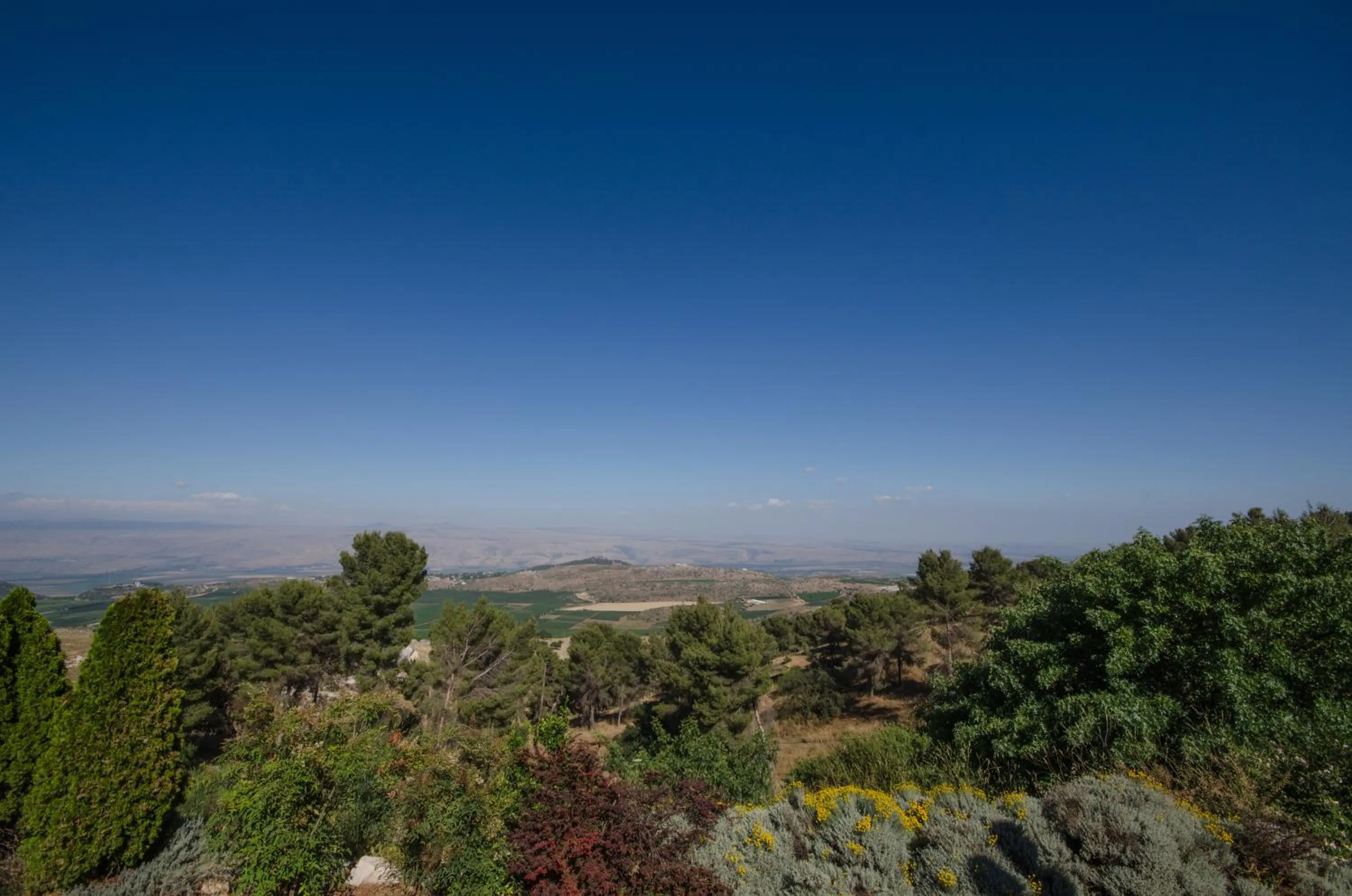 View (from property/room) in Kibbutz Malkiya Travel Hotel