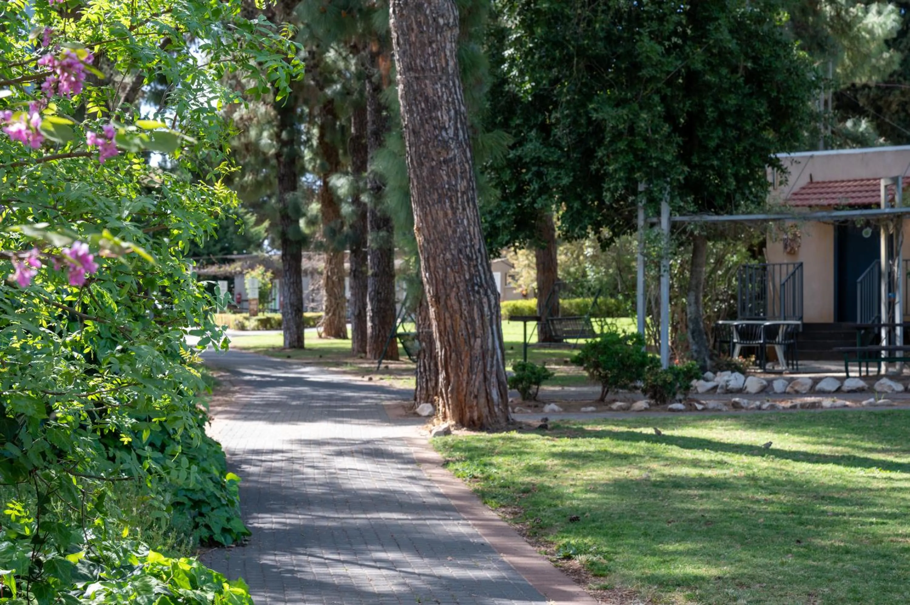 Garden in Kibbutz Malkiya Travel Hotel