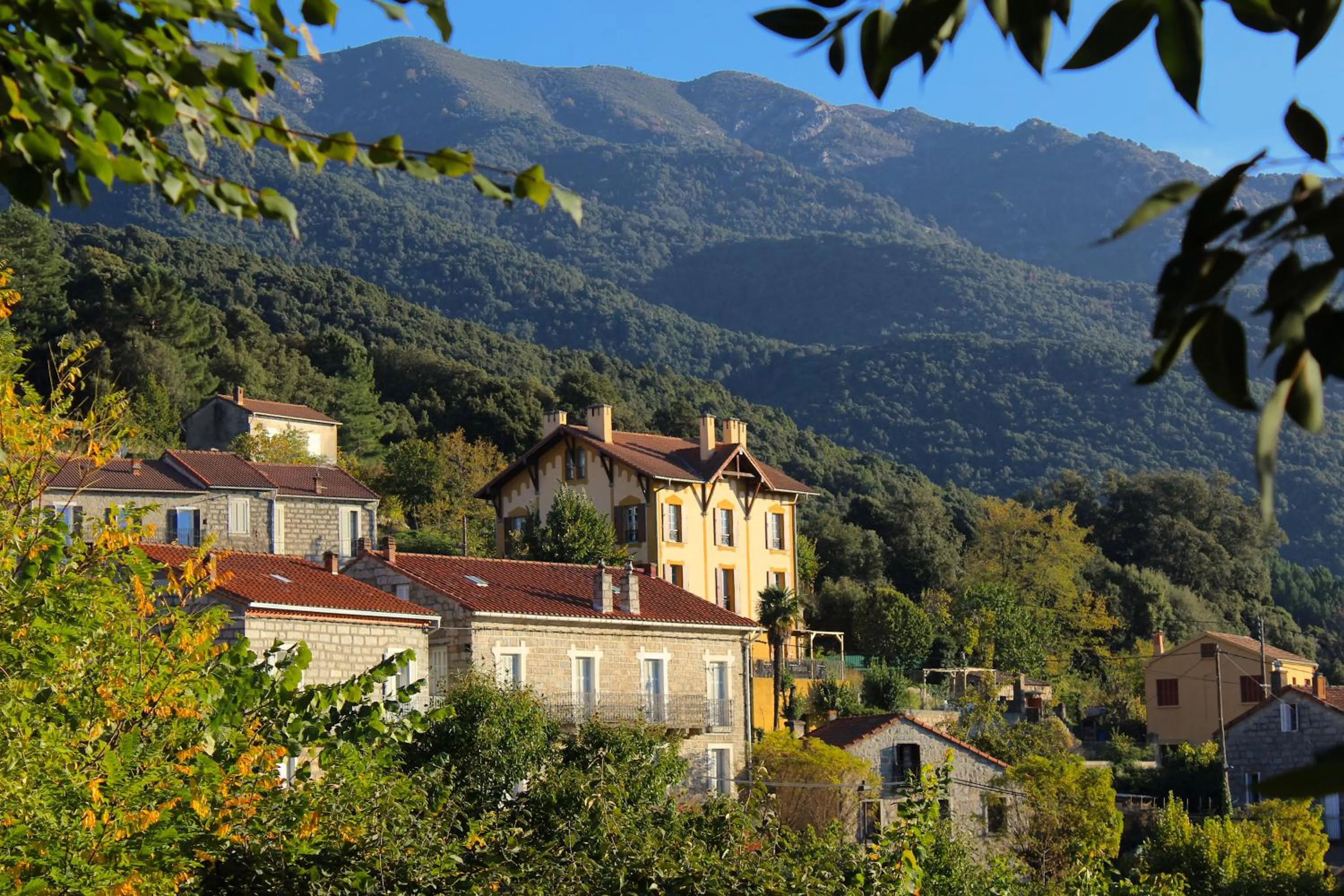 Facade/entrance in Gîte du Chalet Pietri