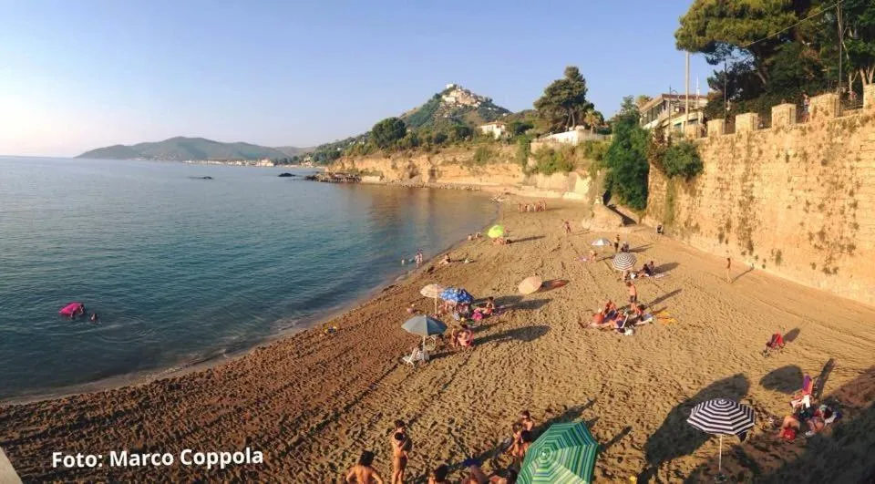 Beach in Quasi in Porto Rooms