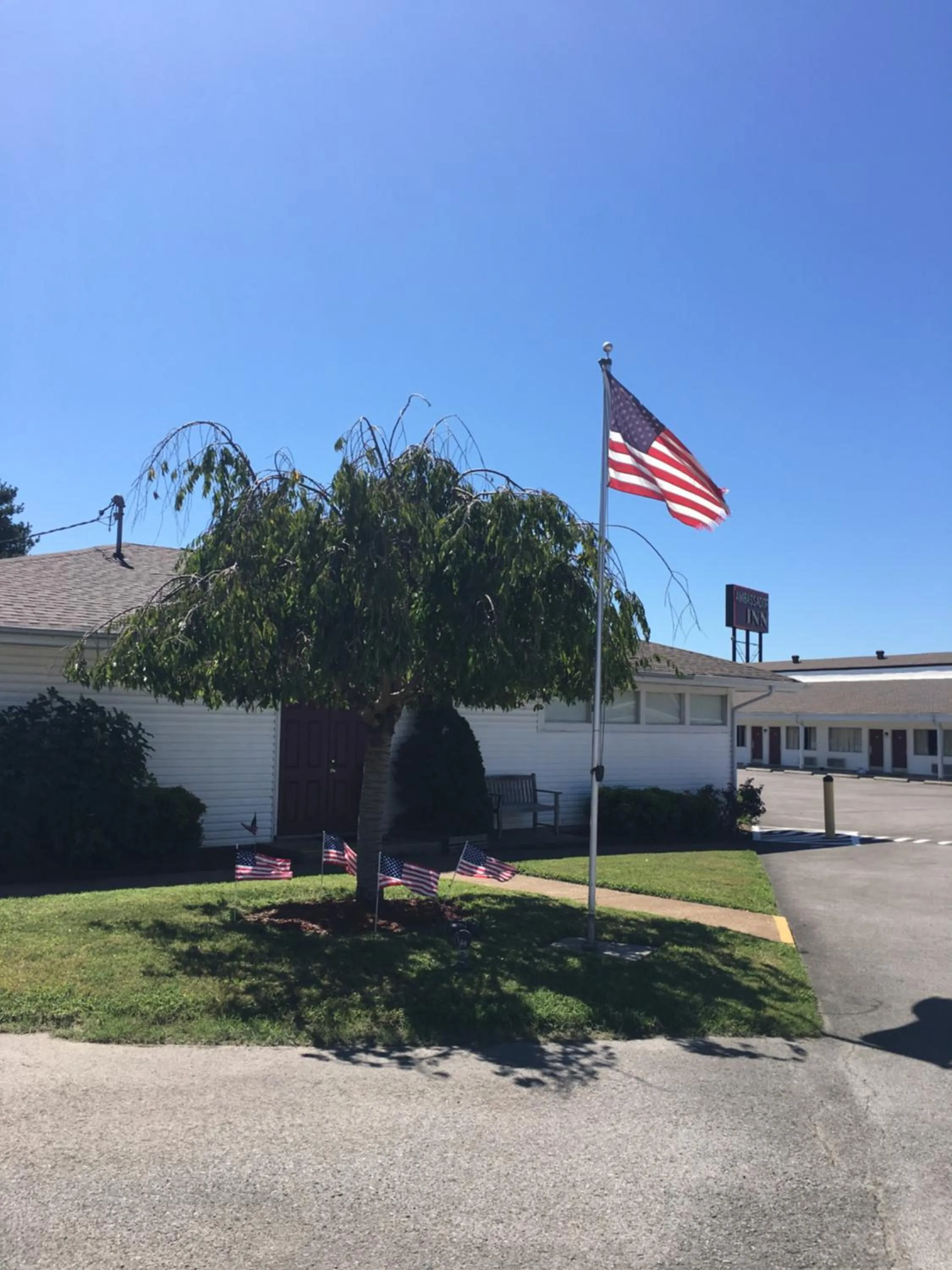 Garden in Ambassador Inn
