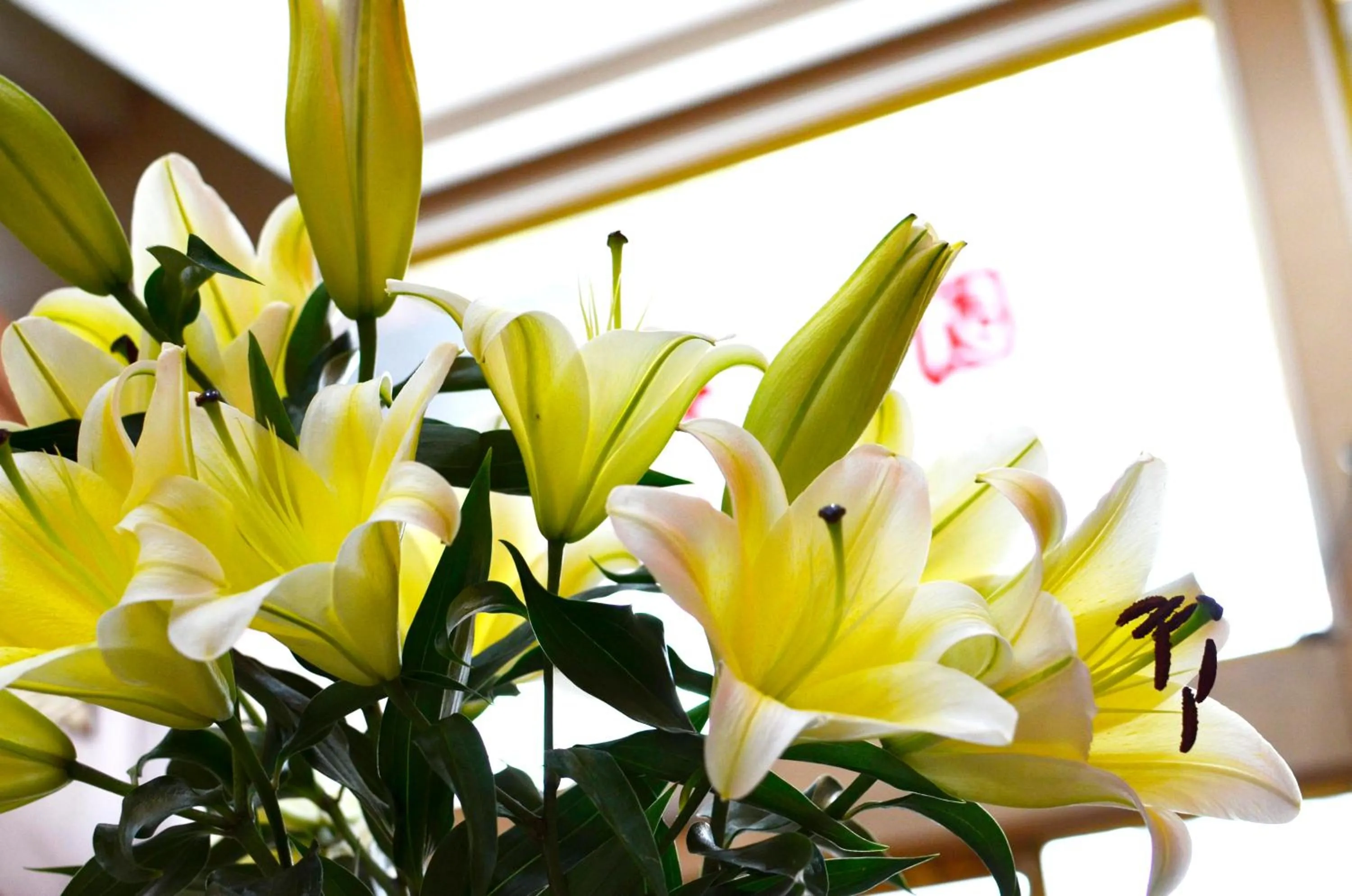 Lounge or bar in LI QING Hotel