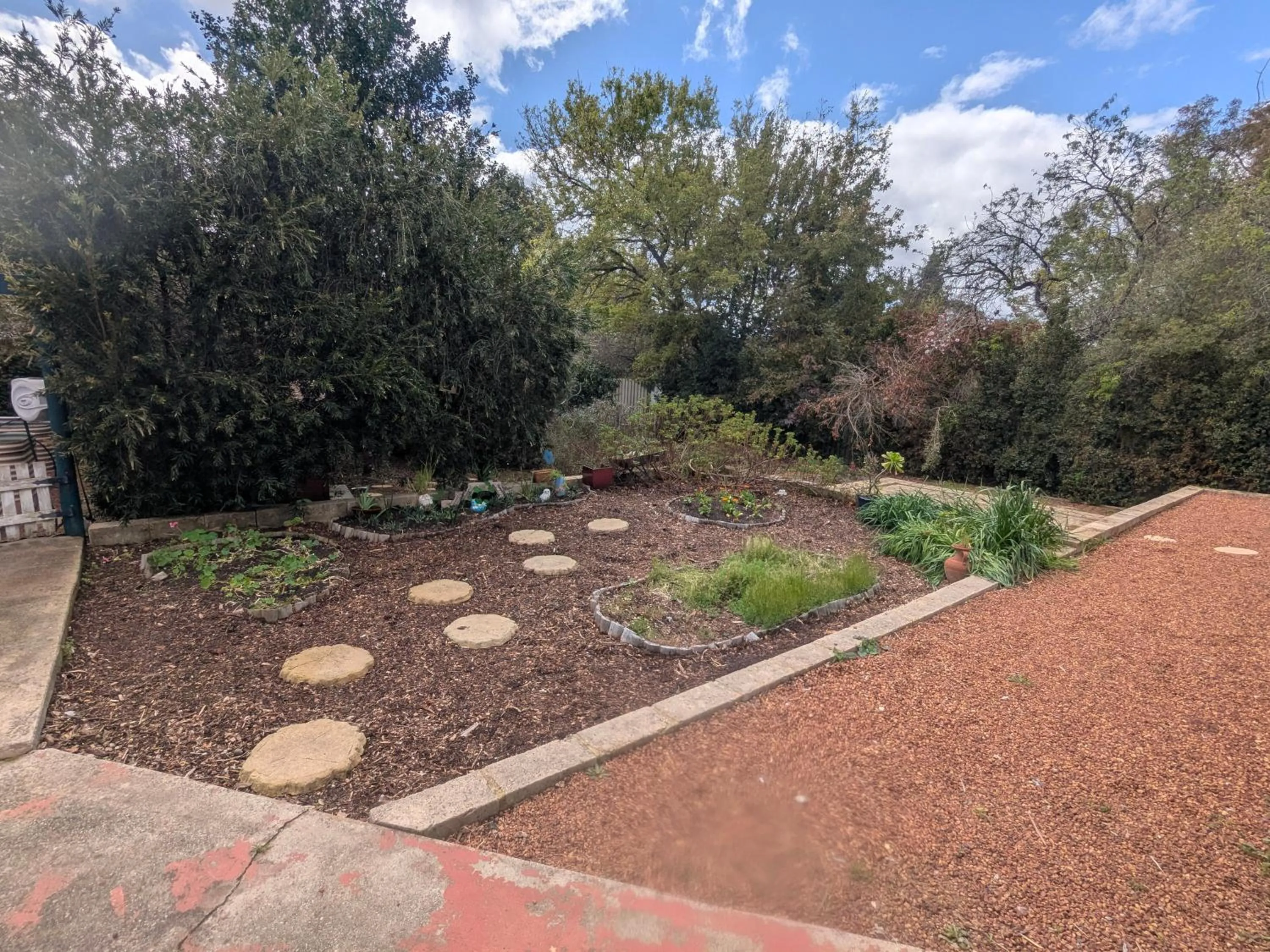 Garden in The Cottage on George Street