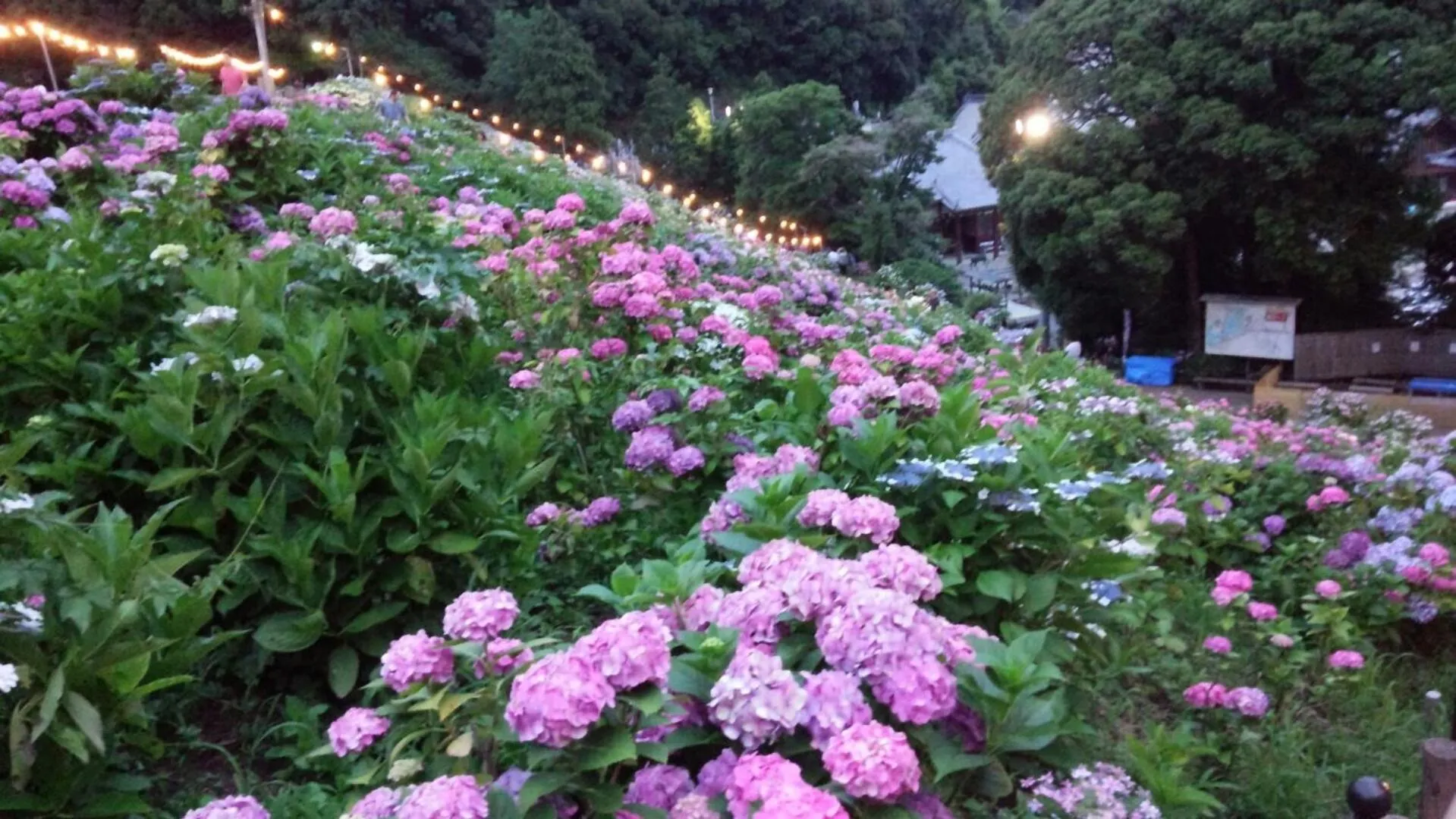 Natural landscape in Kyoto-Gion Tourist House