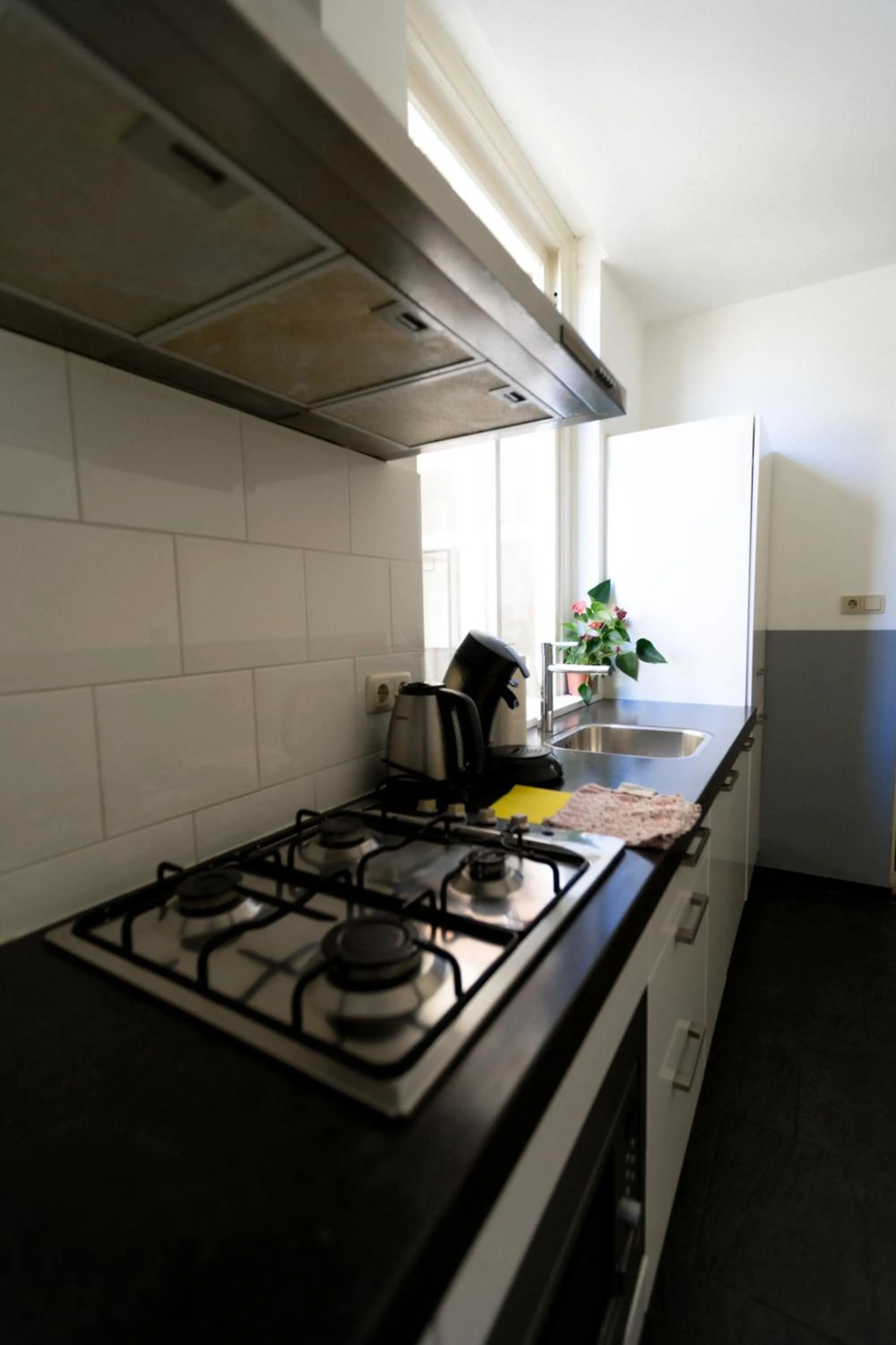 kitchen in Plantage Hortus Apartments