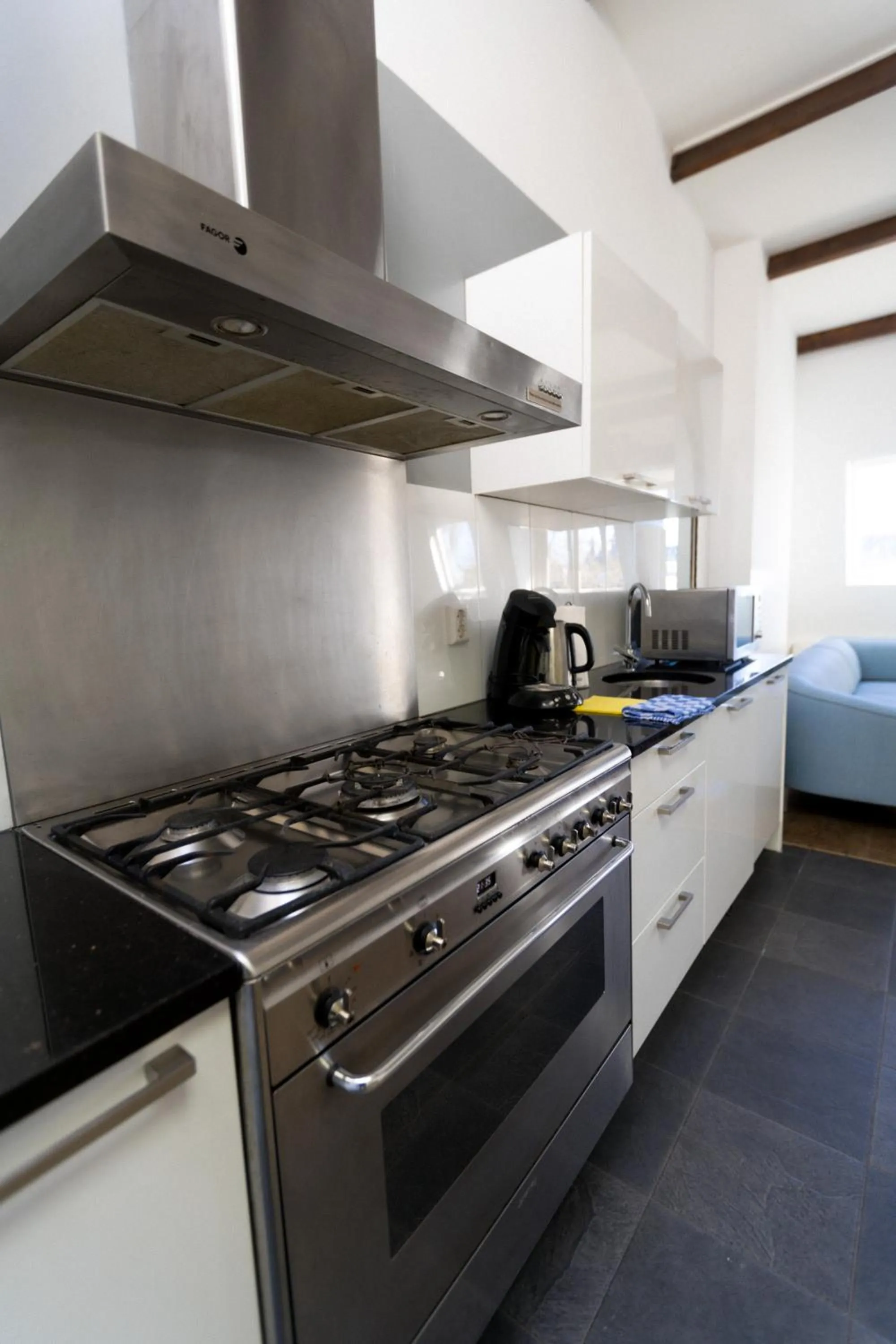 Kitchen or kitchenette in Plantage Hortus Apartments