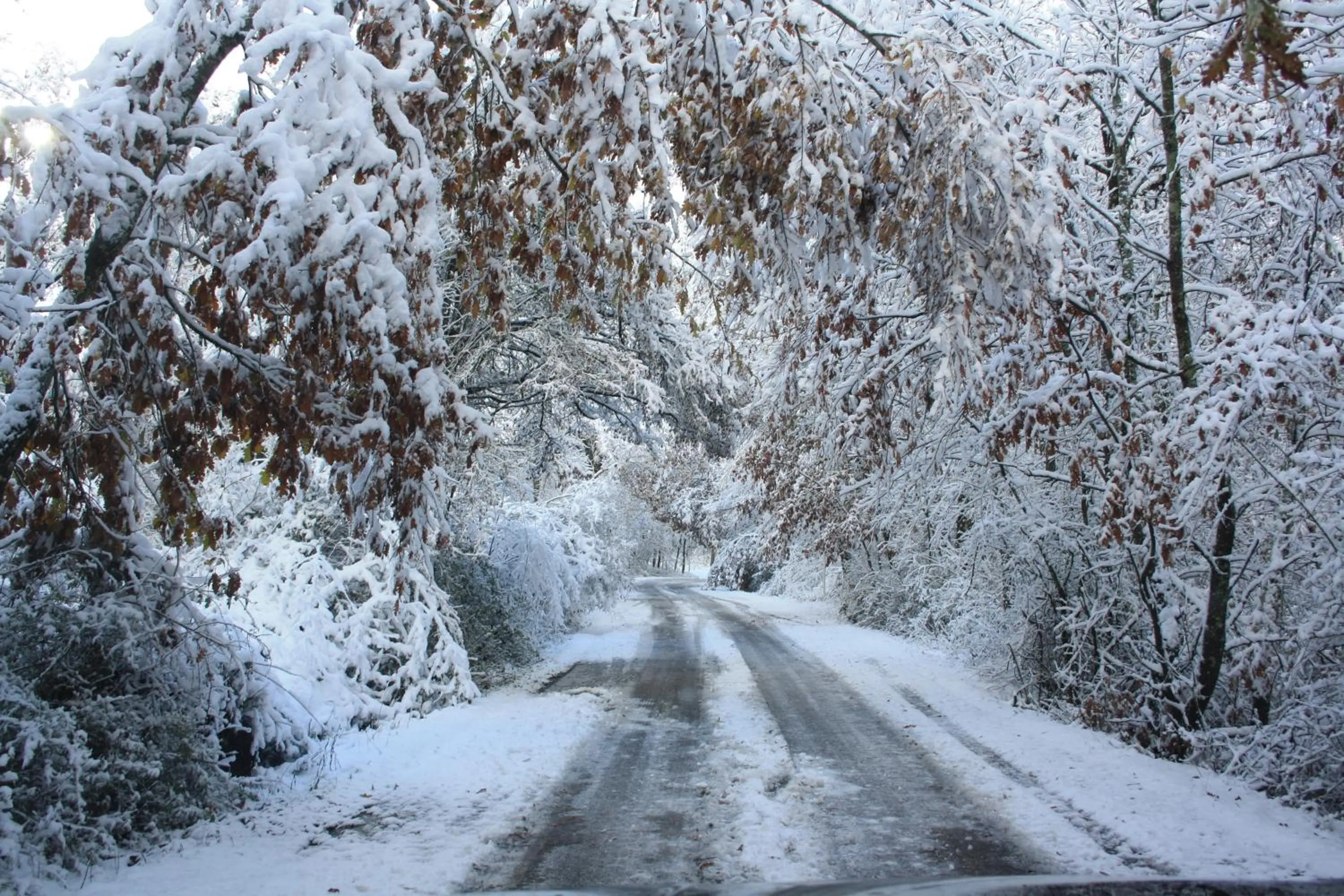 Neighbourhood in Locanda San Barnaba