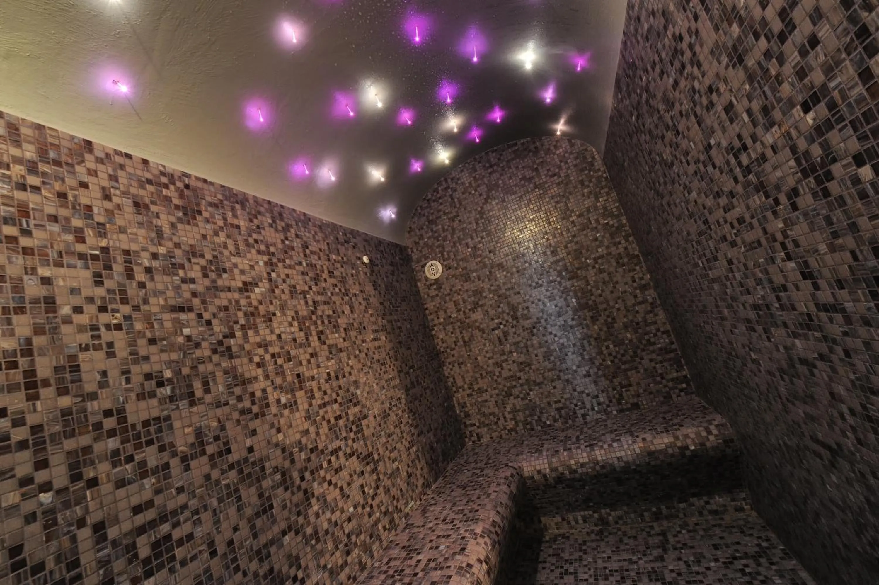 Spa and wellness centre/facilities in Hotel Bertusi