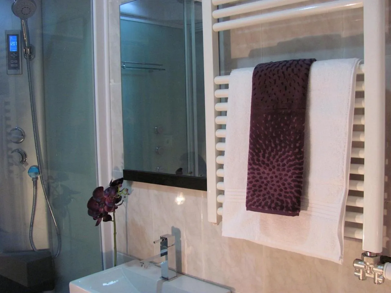 Bathroom in BruStar Gotic-Centric