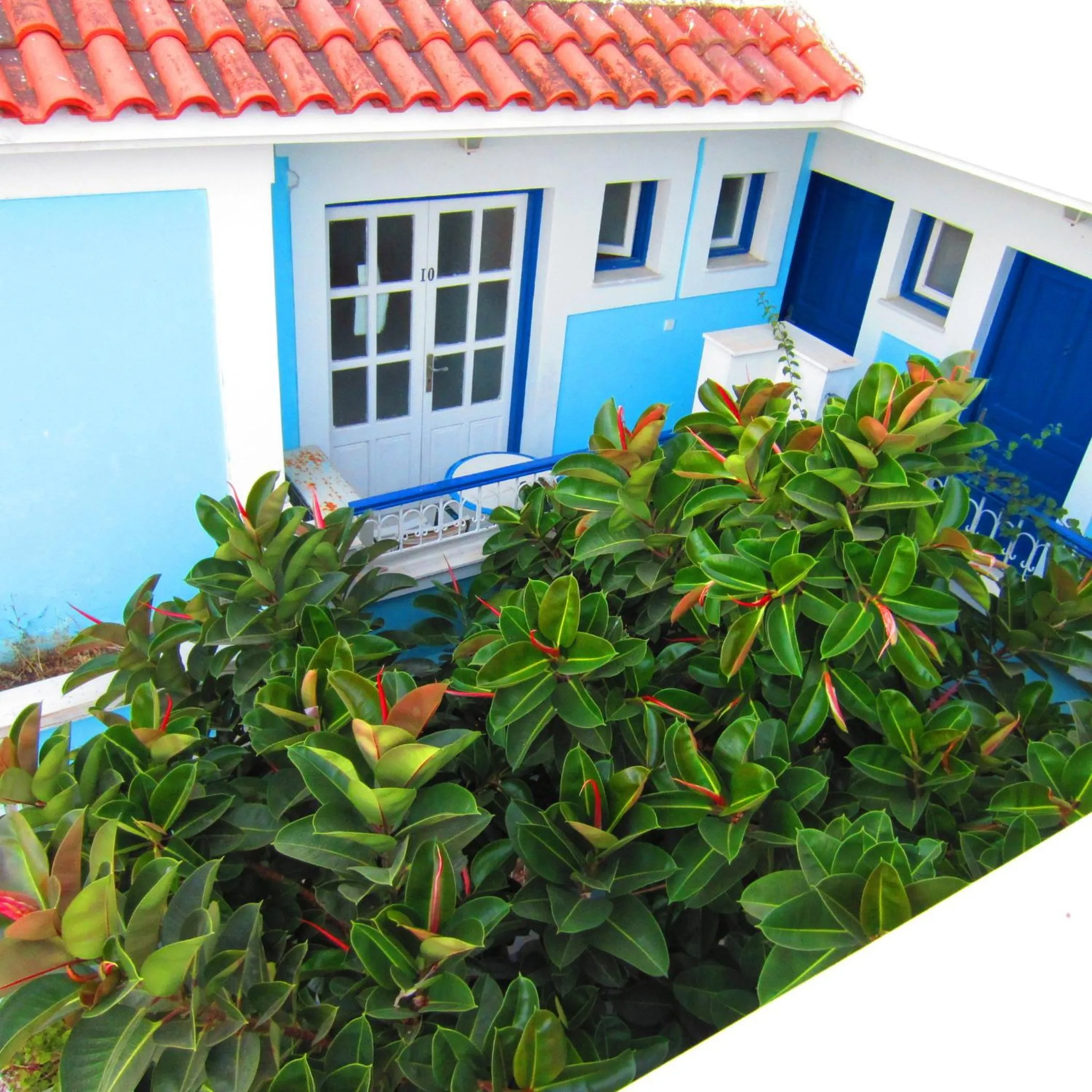 Garden in Hotel Mariona