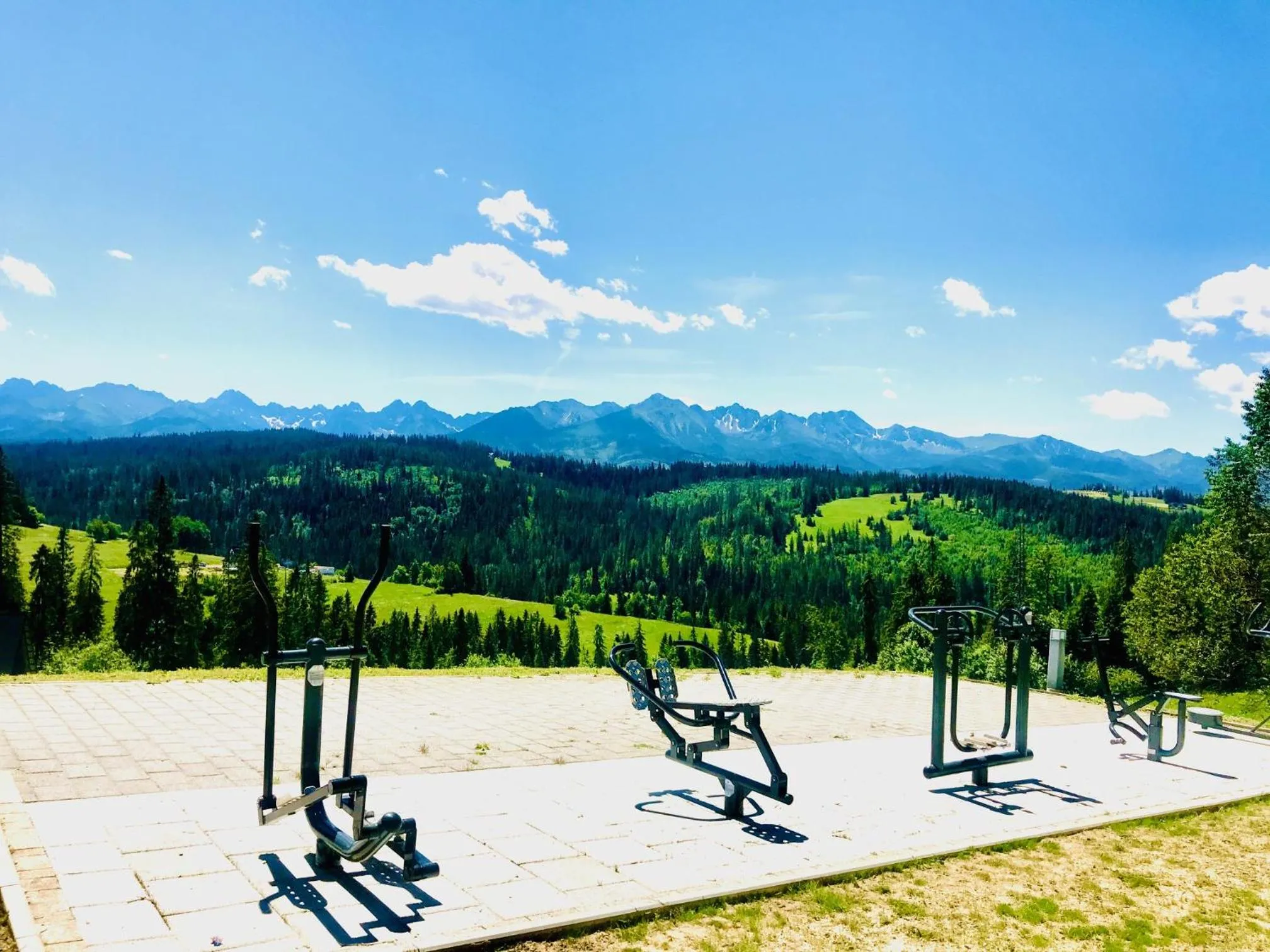 Garden in Hotel Zbójnicówka