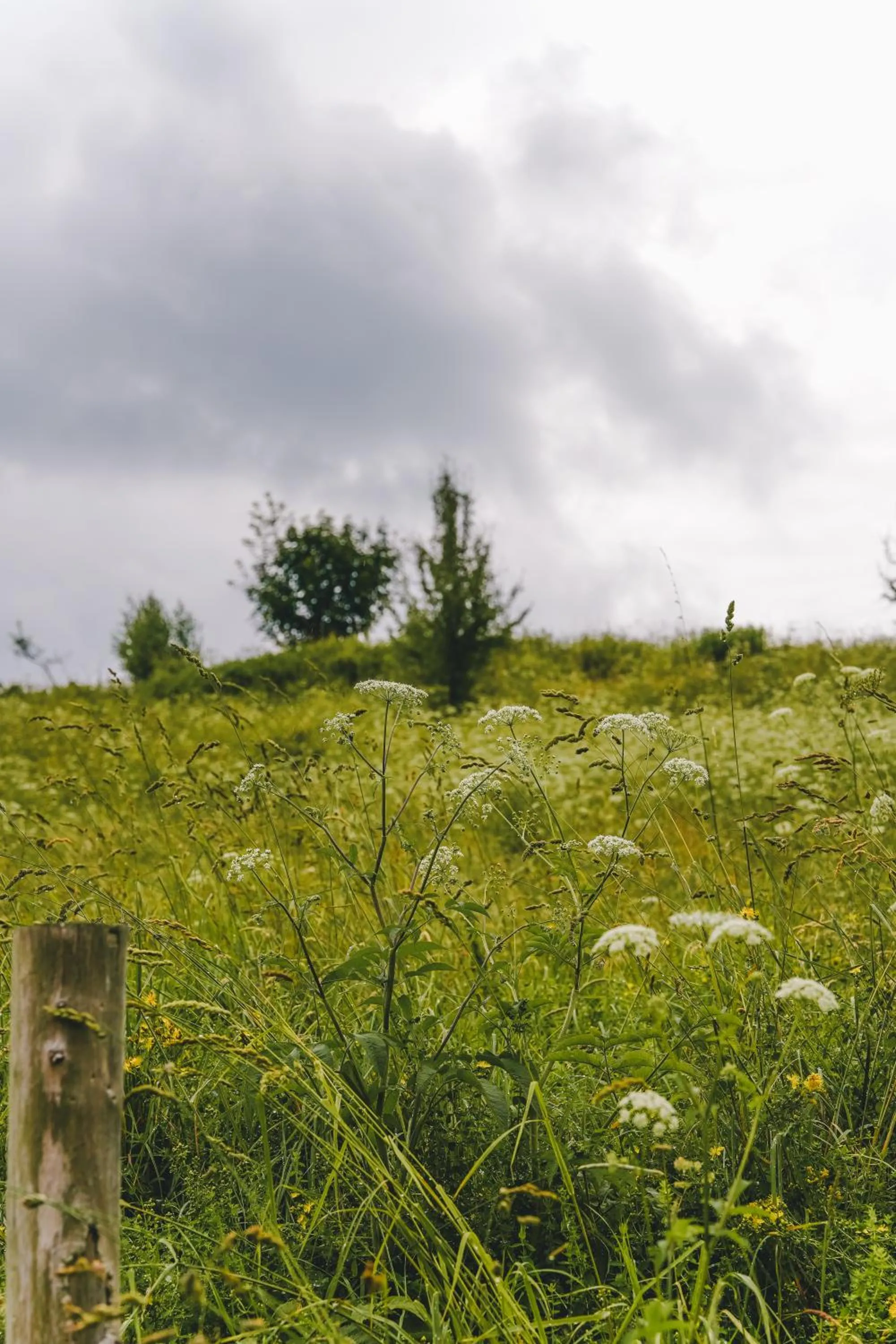 Hotel Pałac Jugowice