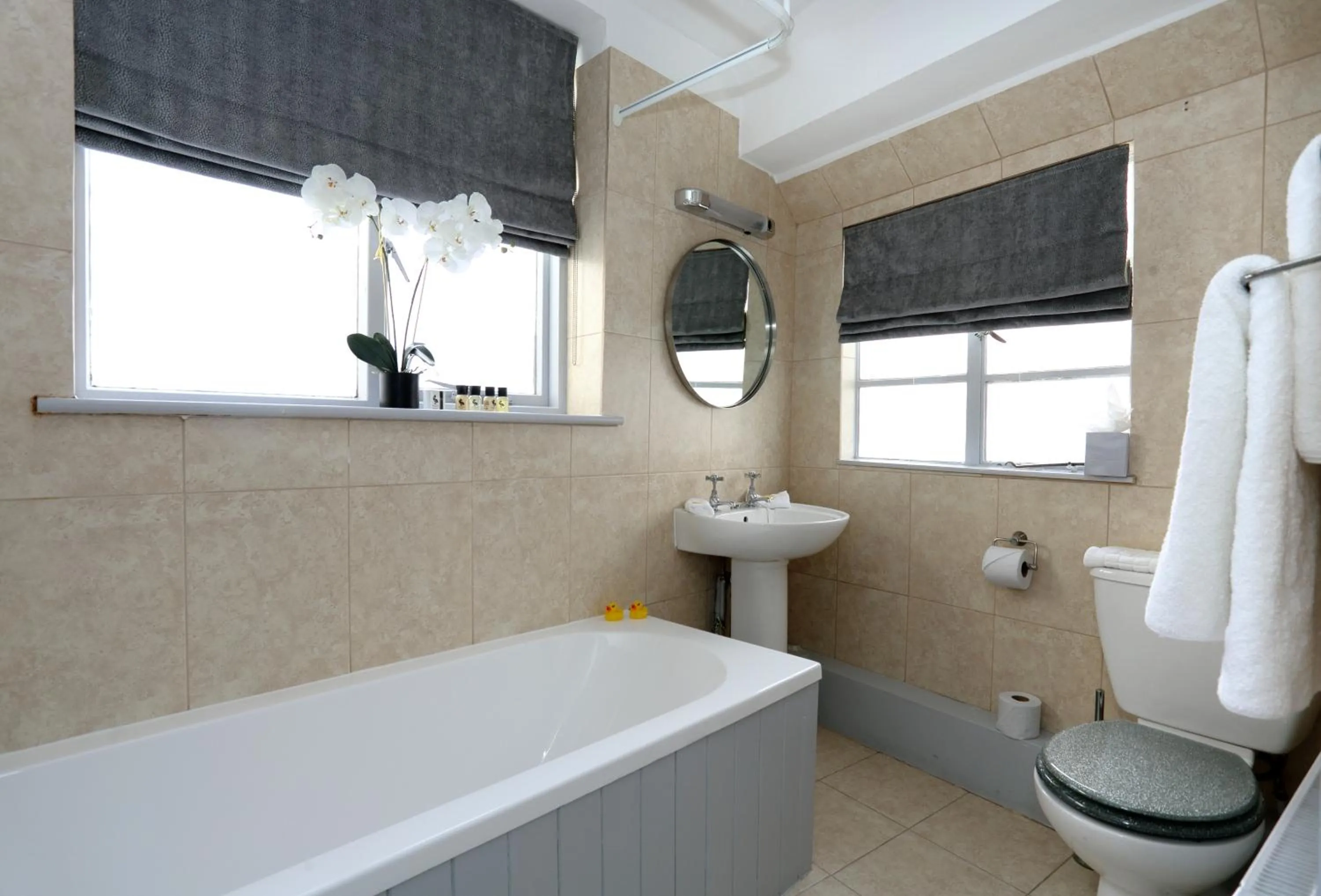 Bathroom in The Loopy Shrew