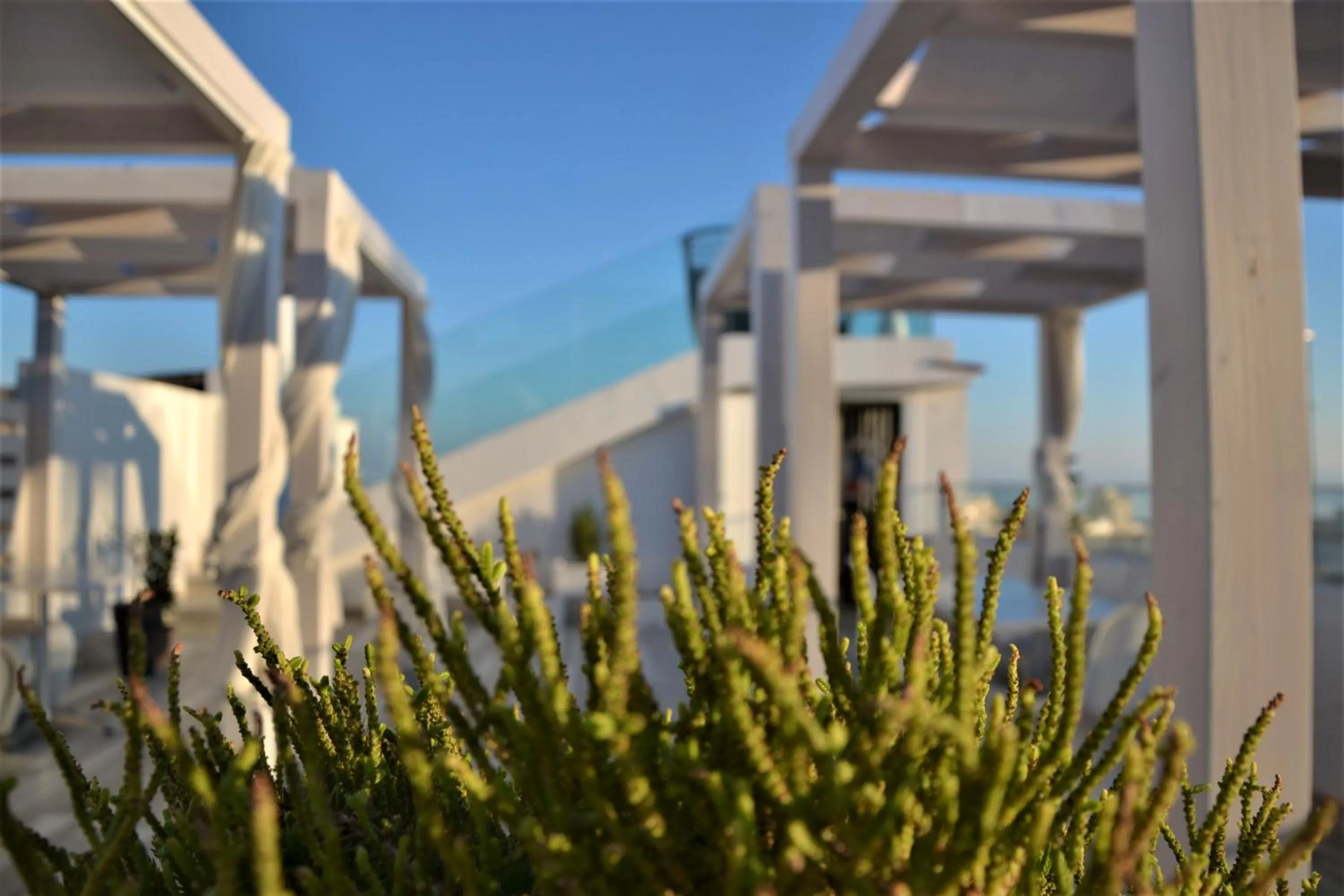 Balcony/Terrace in Quintessenza - Charme Rooms