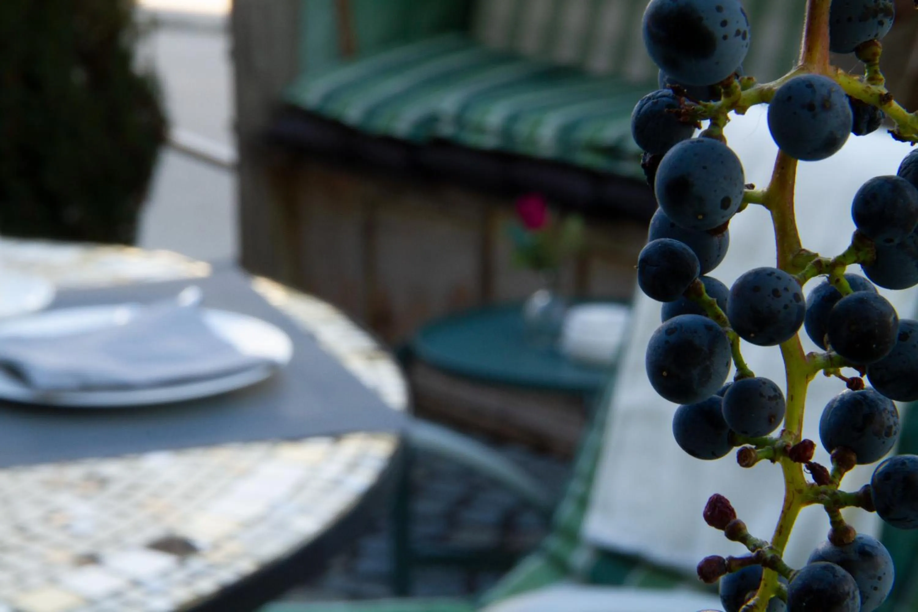 Property building in Goldener Stern