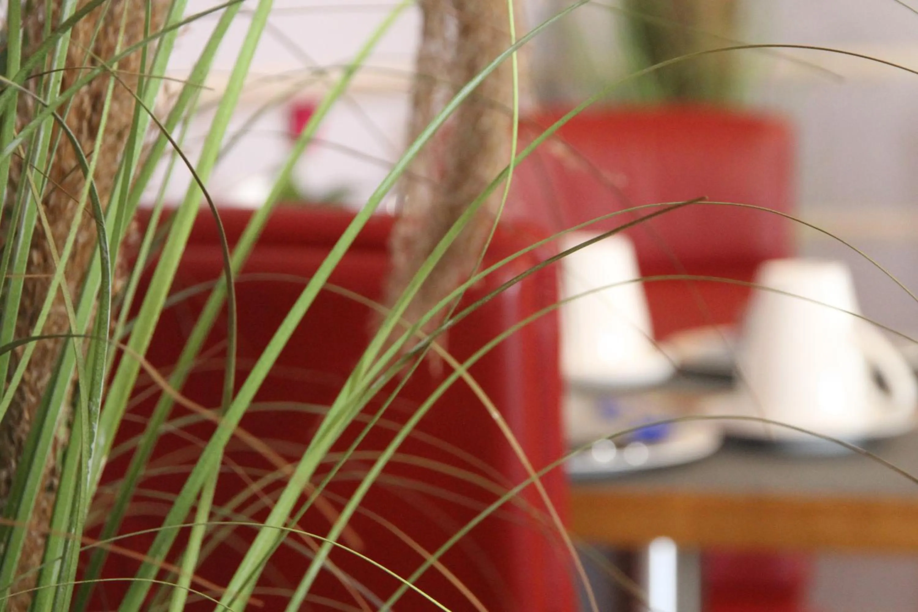 Restaurant/places to eat in Goldener Stern