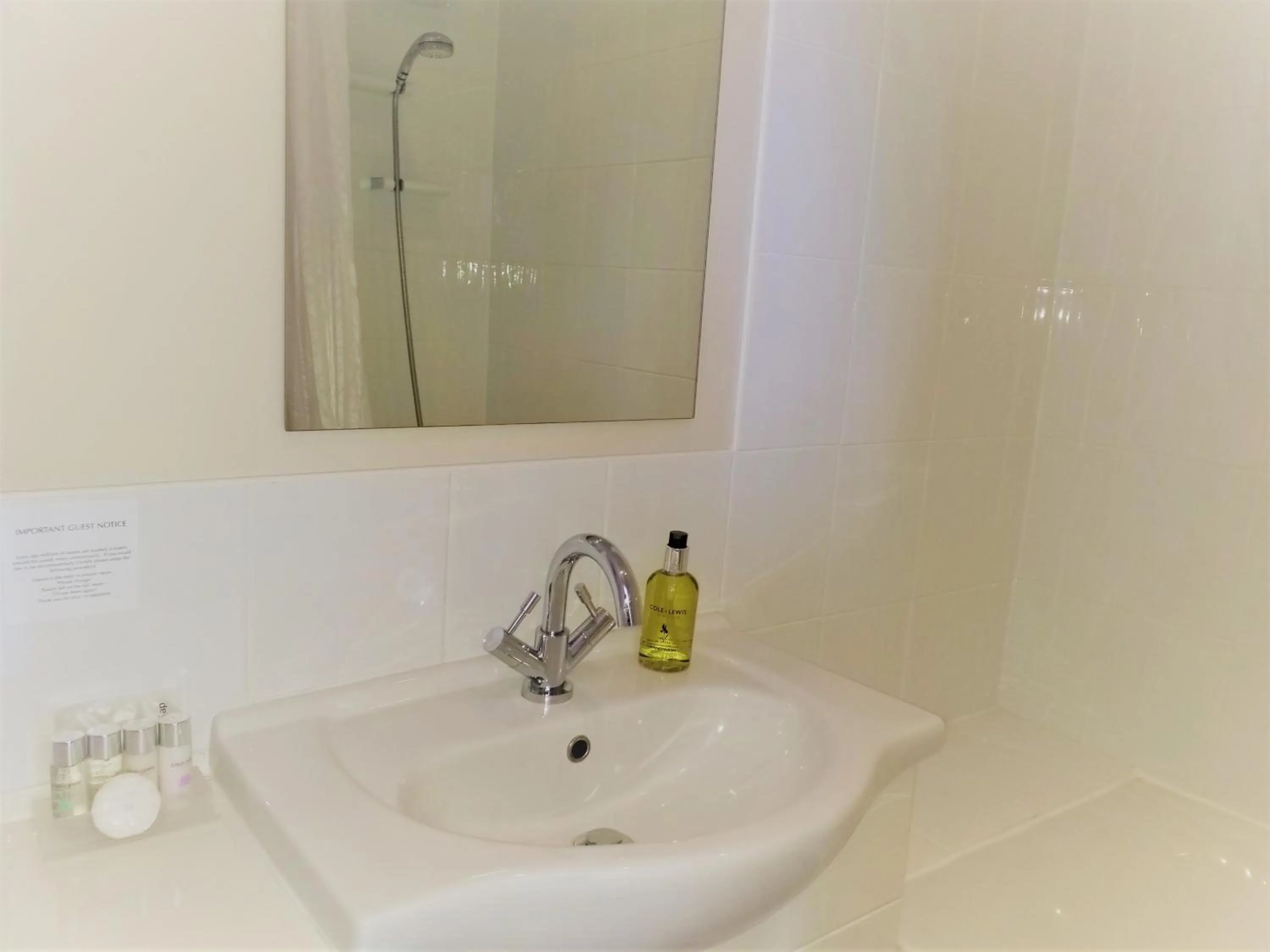 Shower in Geckos Rest