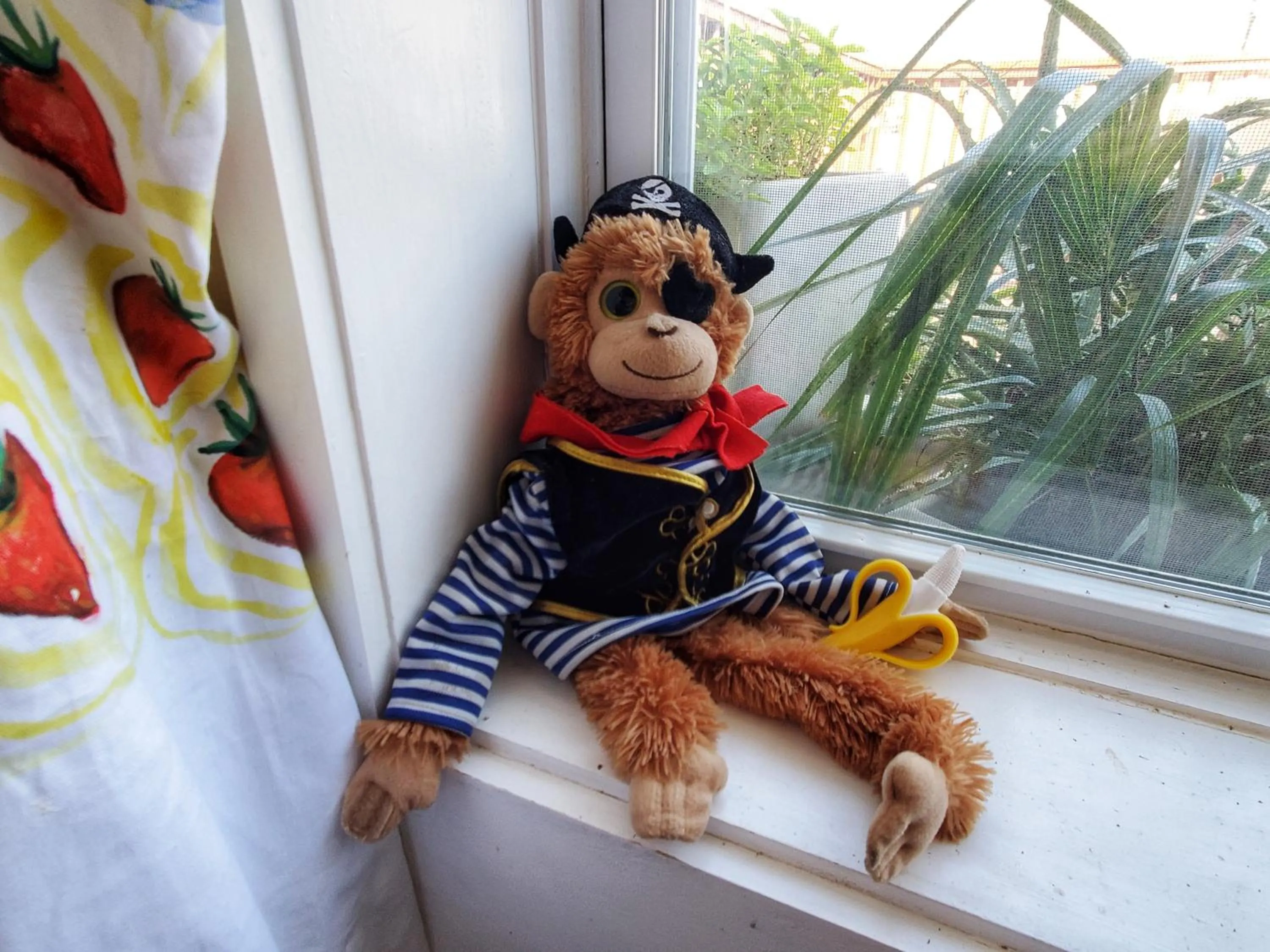 Pets in The Pirate Haus Inn