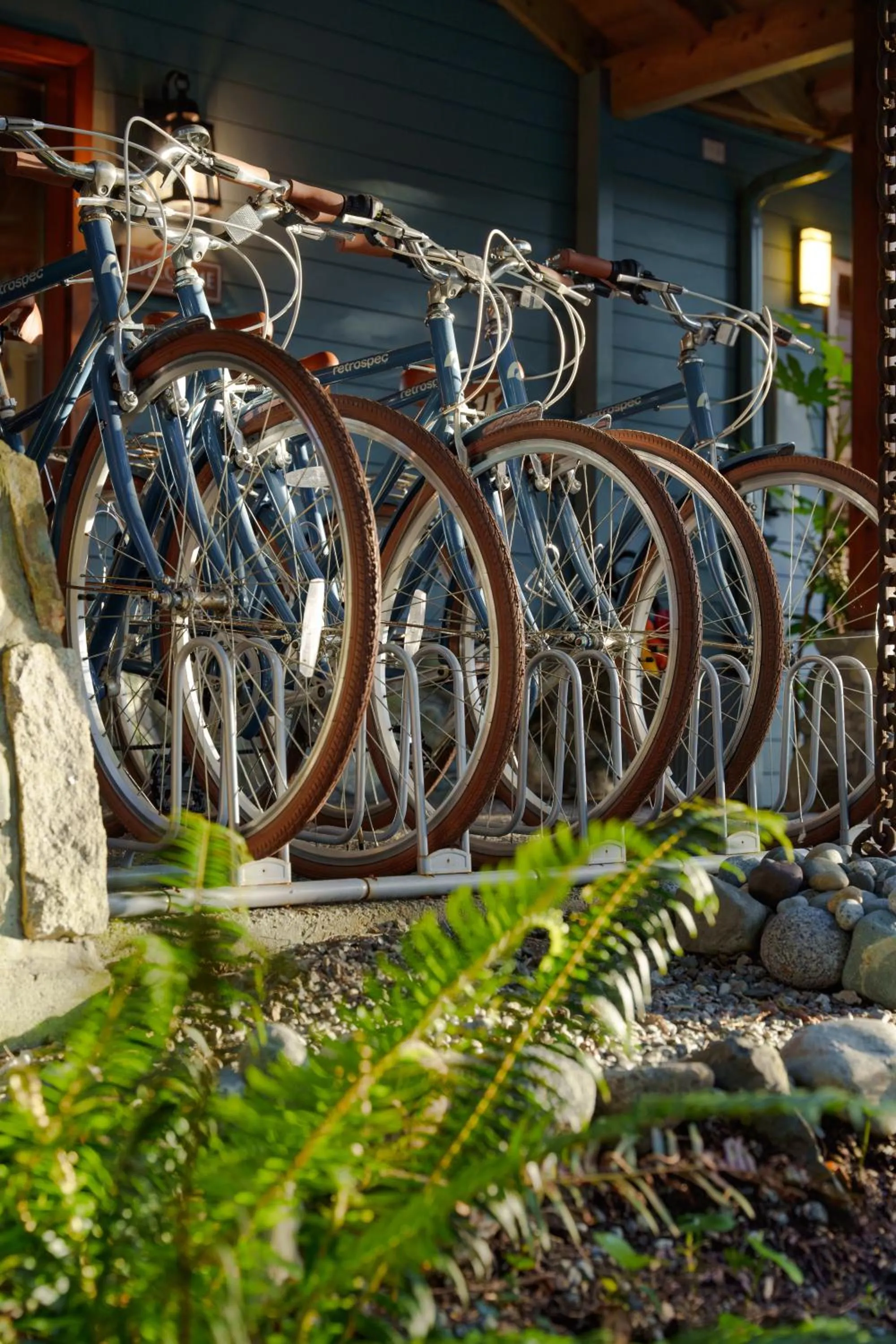 Activities in Snug Harbour Inn