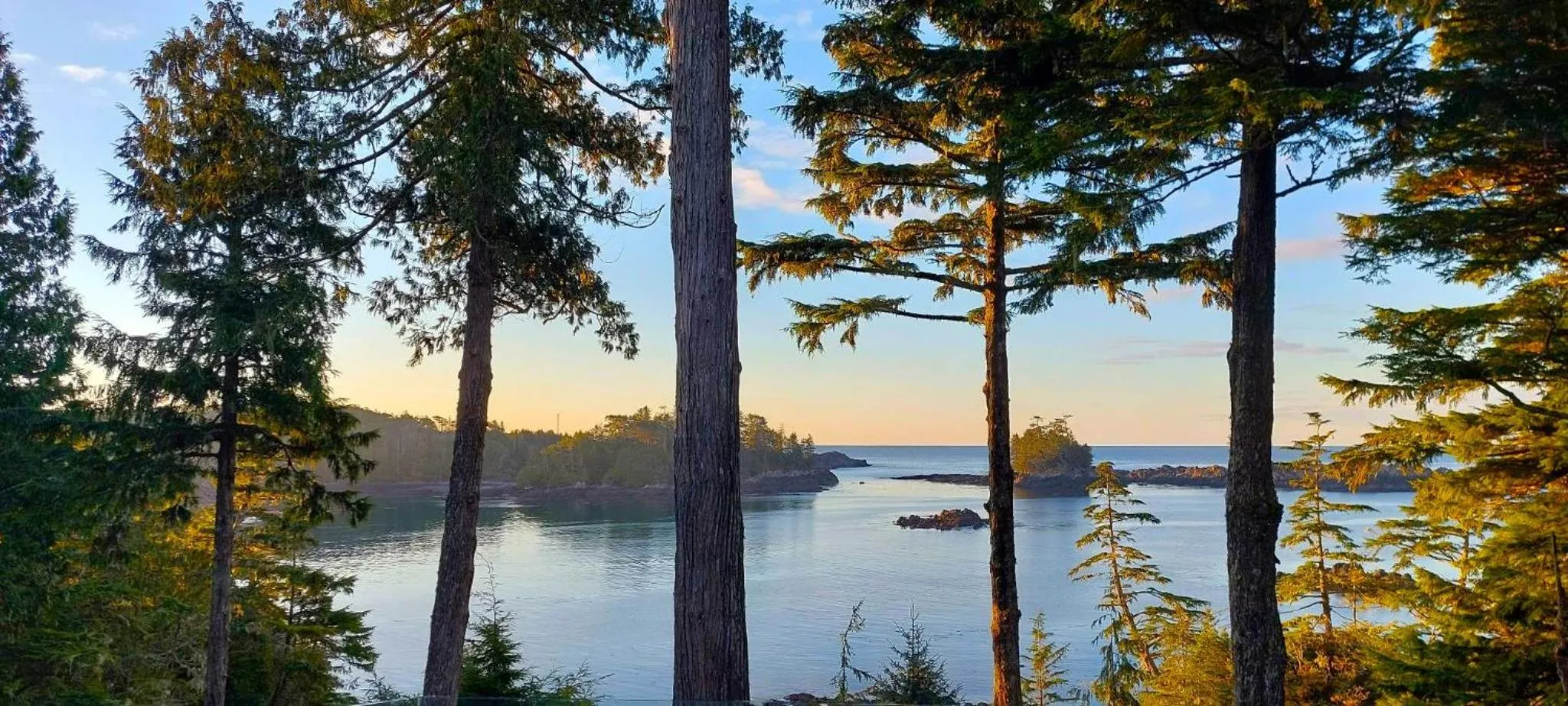 Natural landscape in Snug Harbour Inn