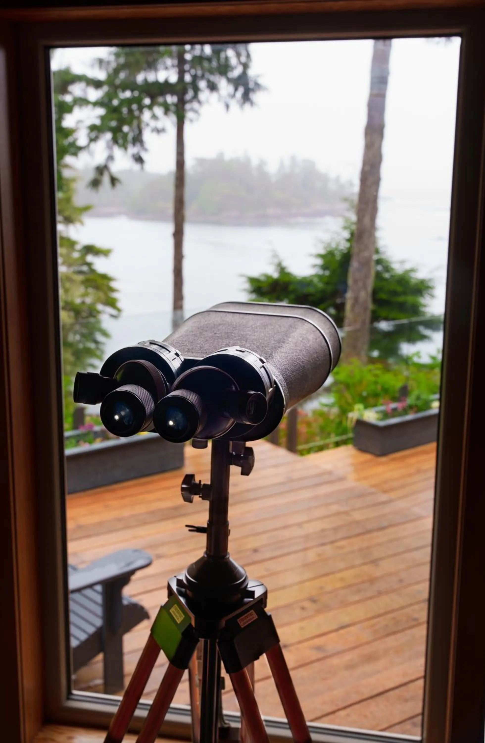 Activities in Snug Harbour Inn