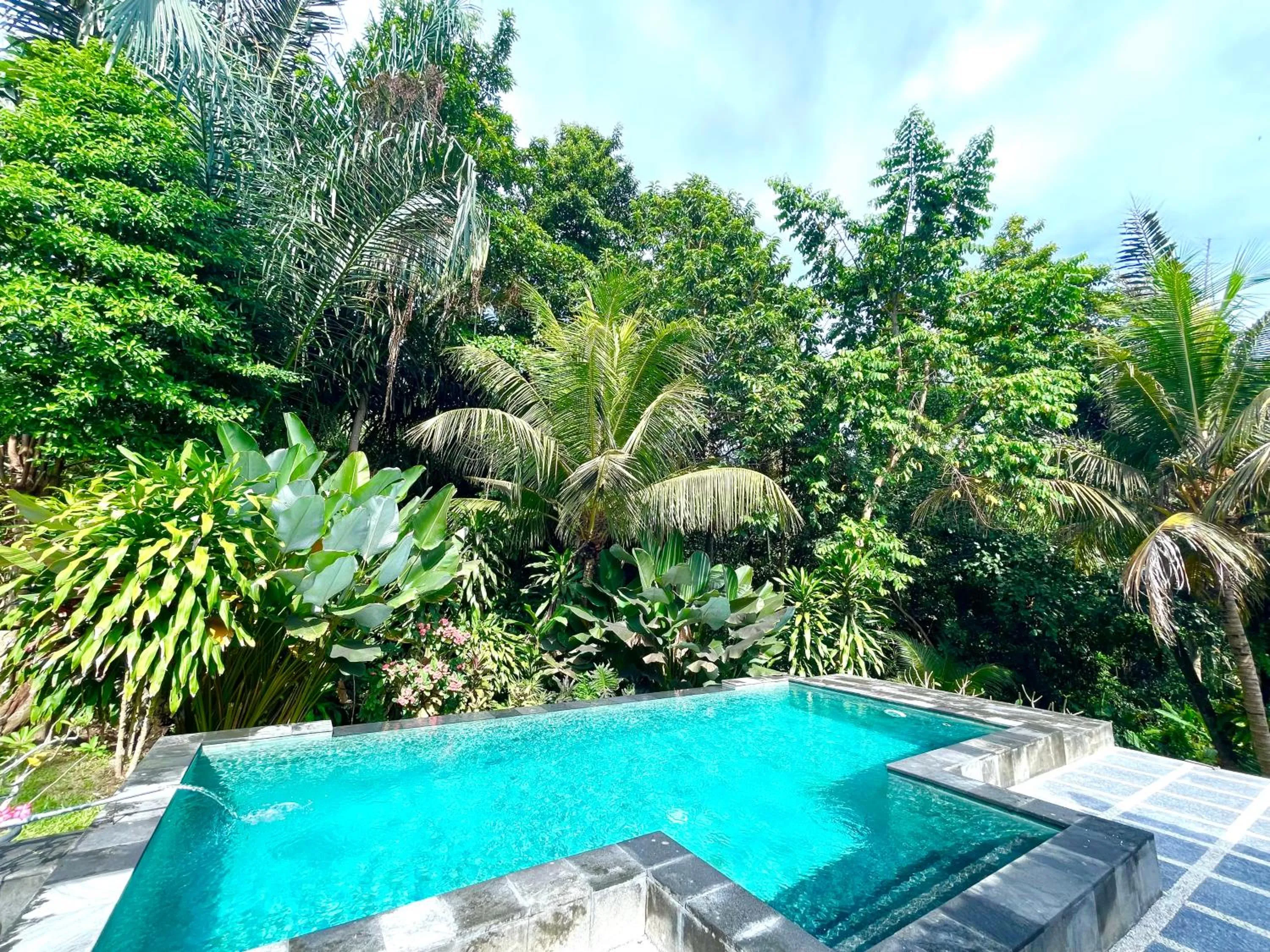 Pool view in Manuaba Inn