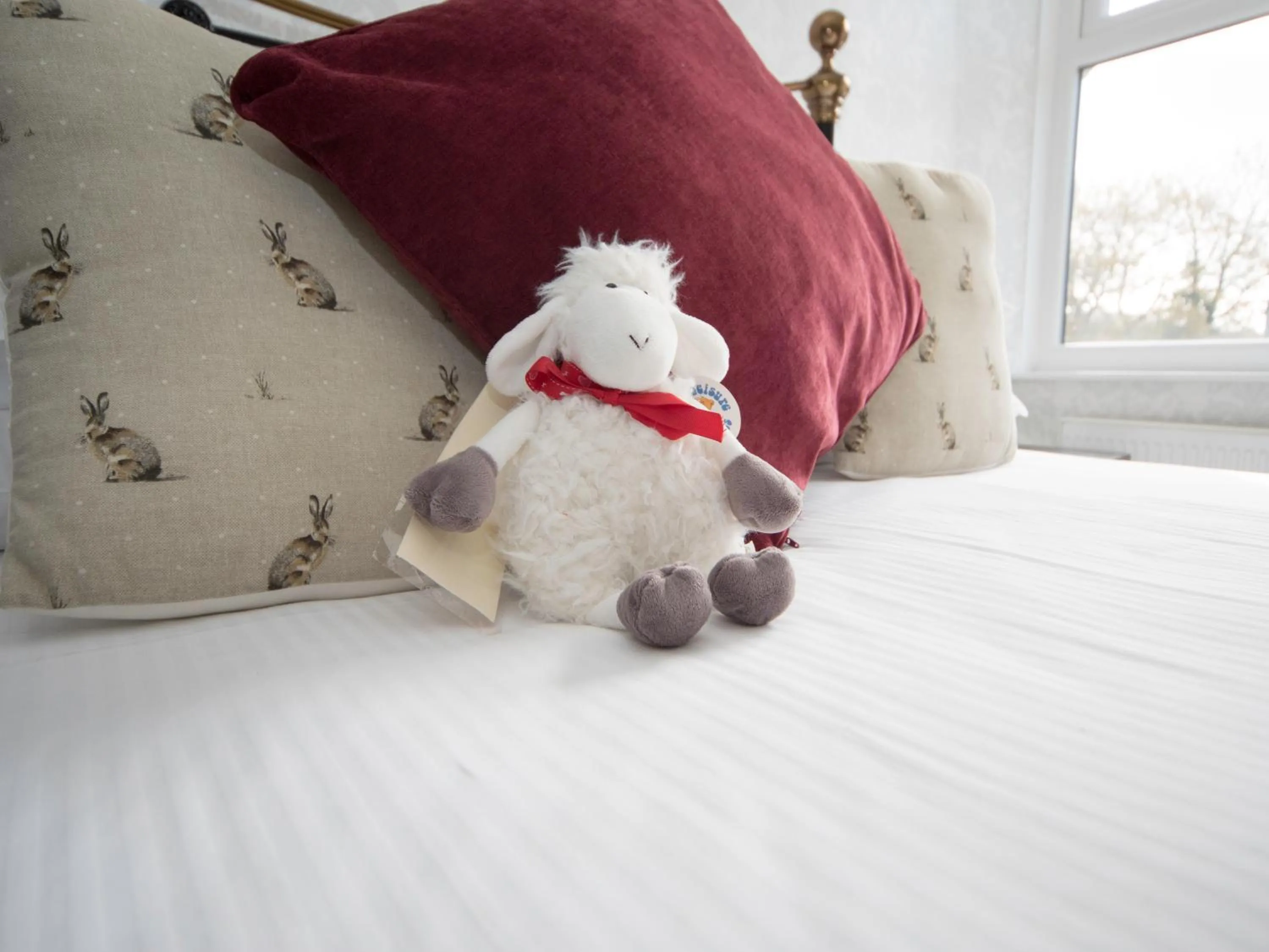 Bed in Glenville House - Adults Only - Incl FREE off-site health club with swimming pool, hot tub, sauna & steam room