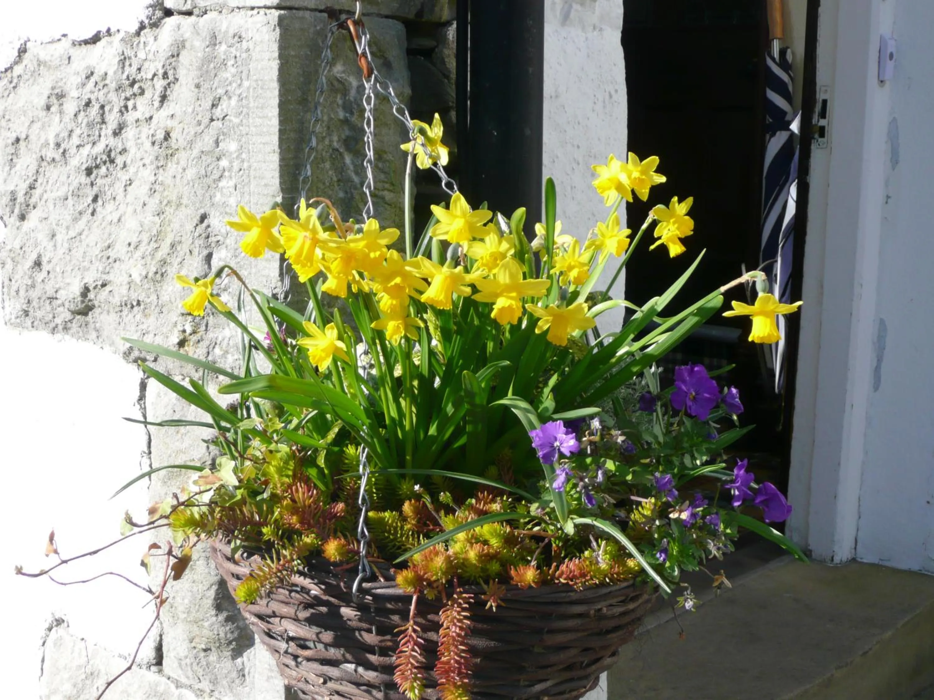 Facade/entrance in Glenville House - Adults Only - Incl FREE off-site health club with swimming pool, hot tub, sauna & steam room