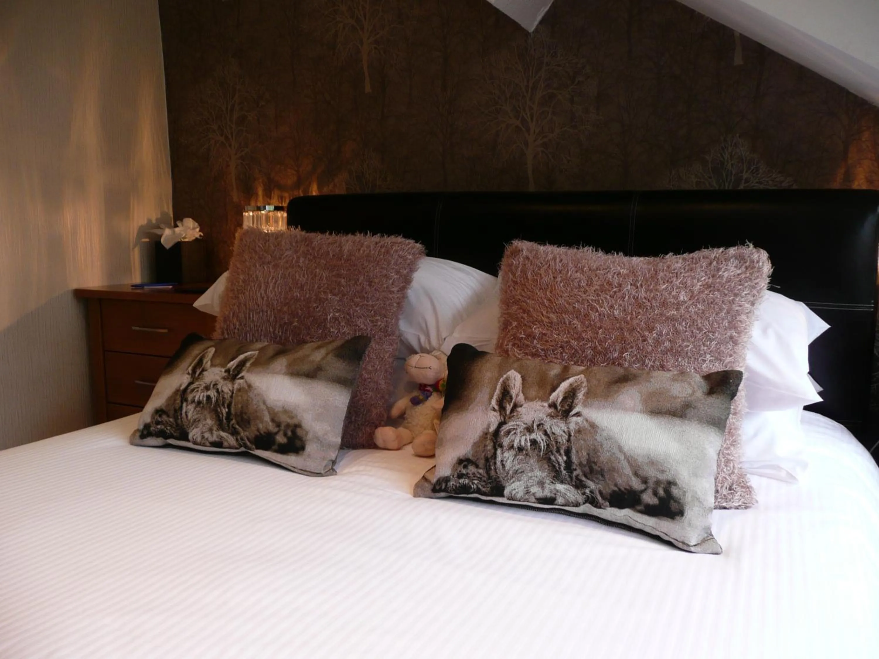 Bed in Glenville House - Adults Only - Incl FREE off-site health club with swimming pool, hot tub, sauna & steam room