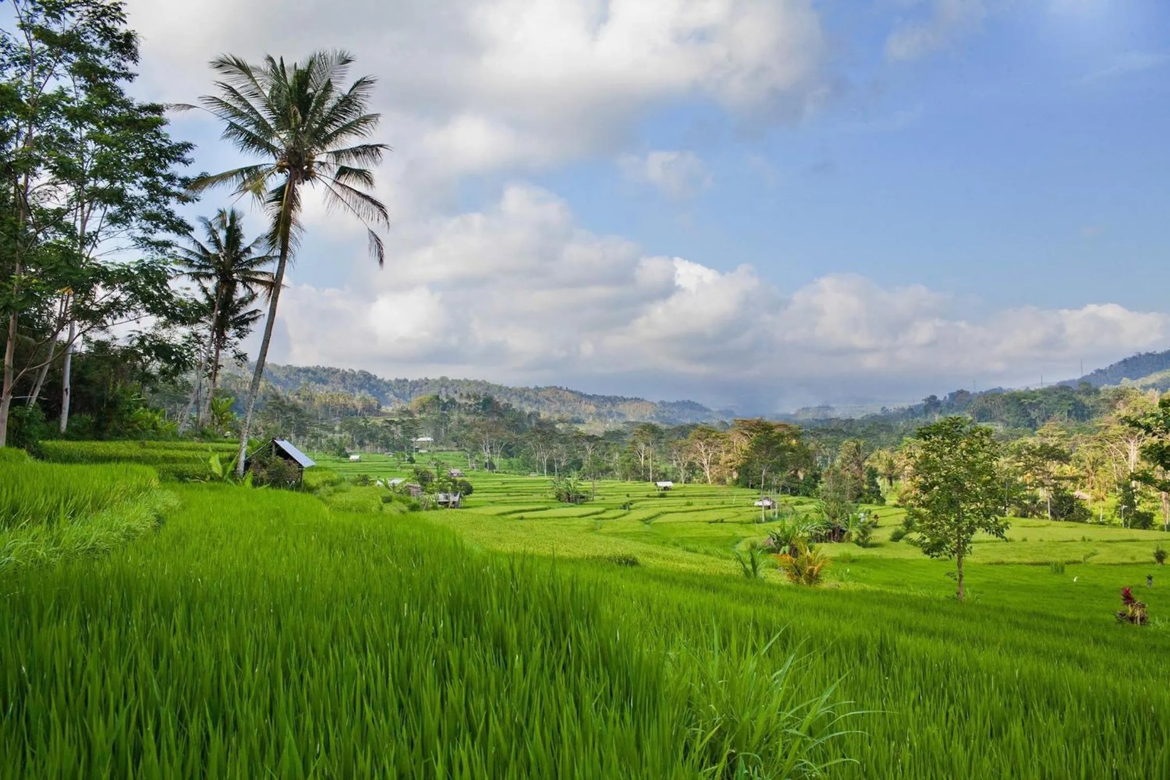Mountain view in Nirarta Center For Living Awareness
