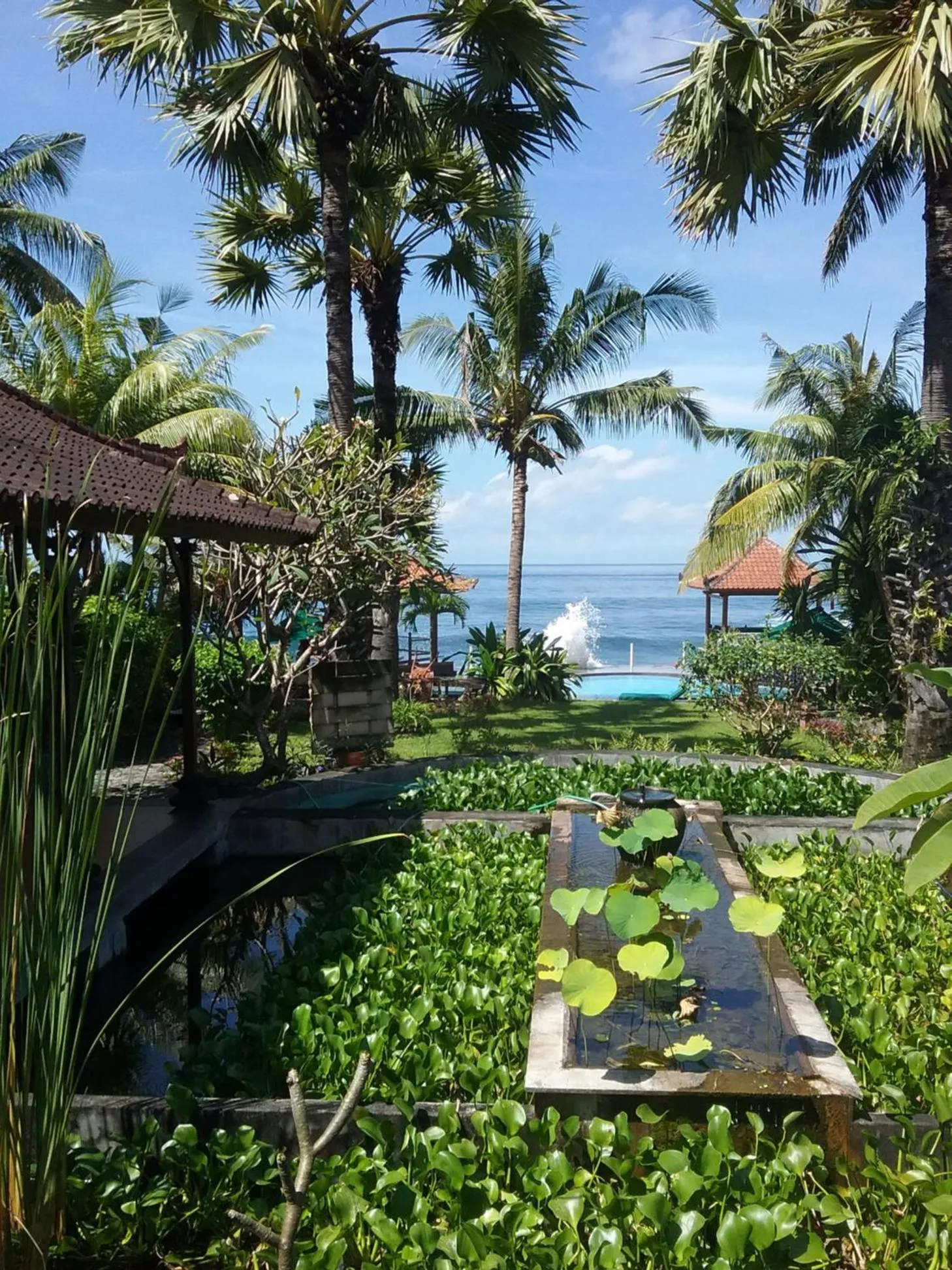 Garden in Kebun Impian