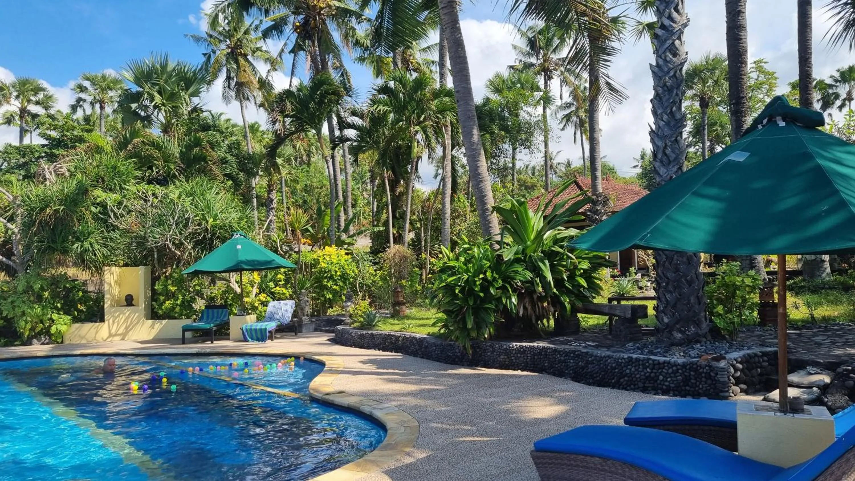 Swimming pool in Kebun Impian